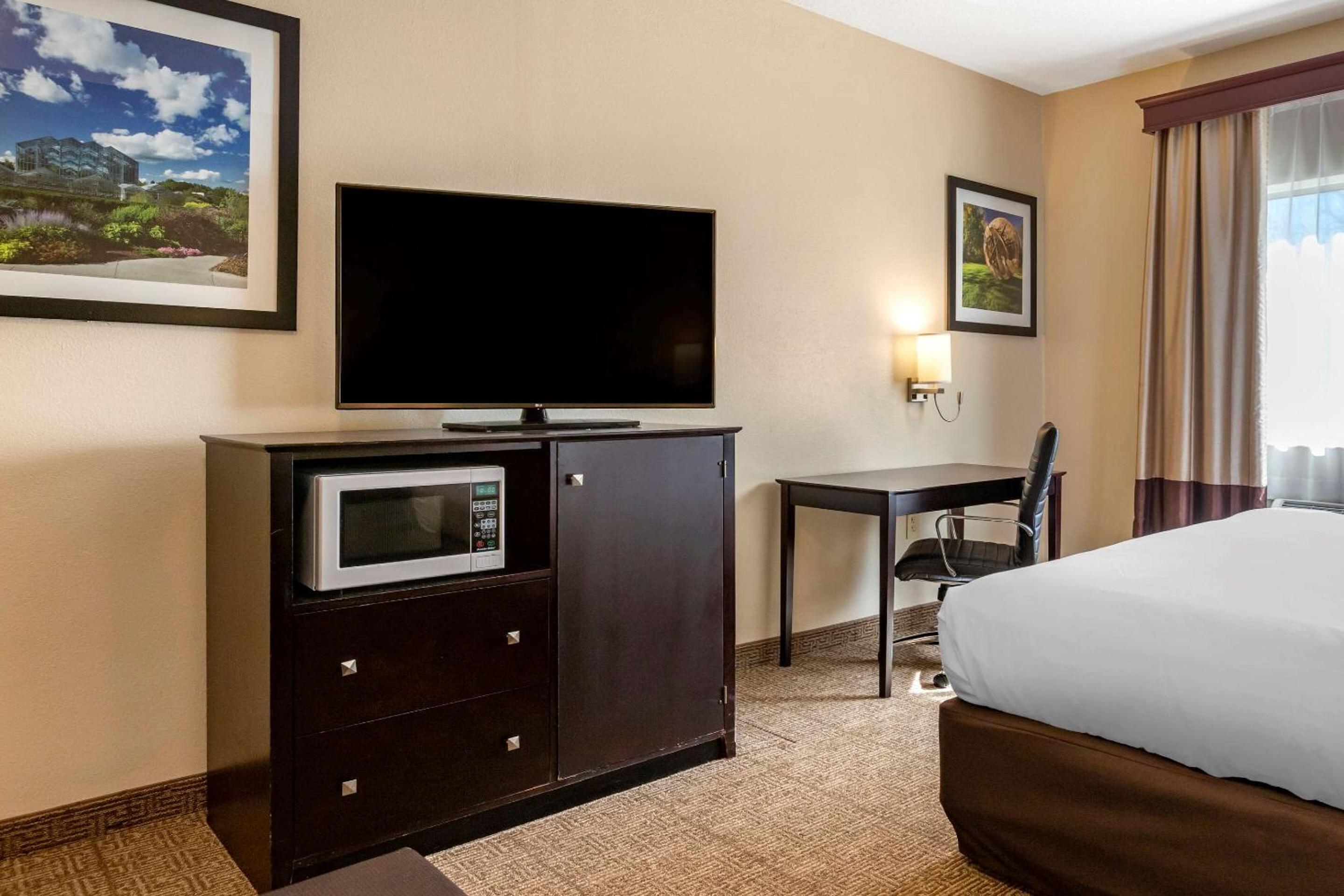 King Room with Roll-In Shower - Accessible/Non-Smoking - Photo 5