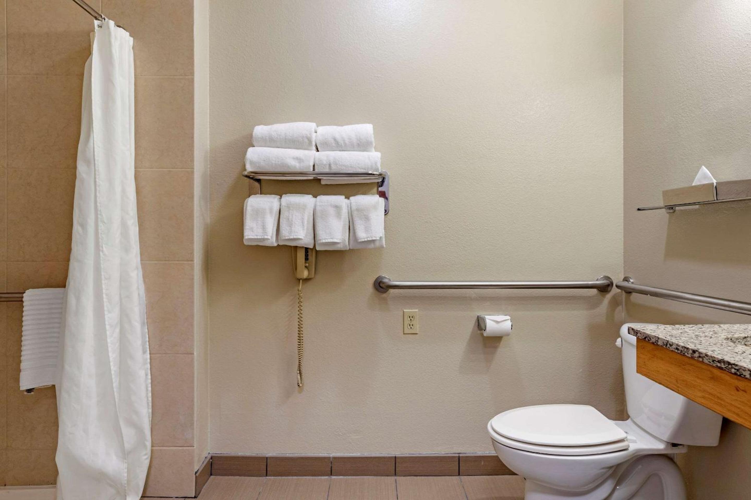 King Room with Roll-In Shower - Accessible/Non-Smoking - Photo 3