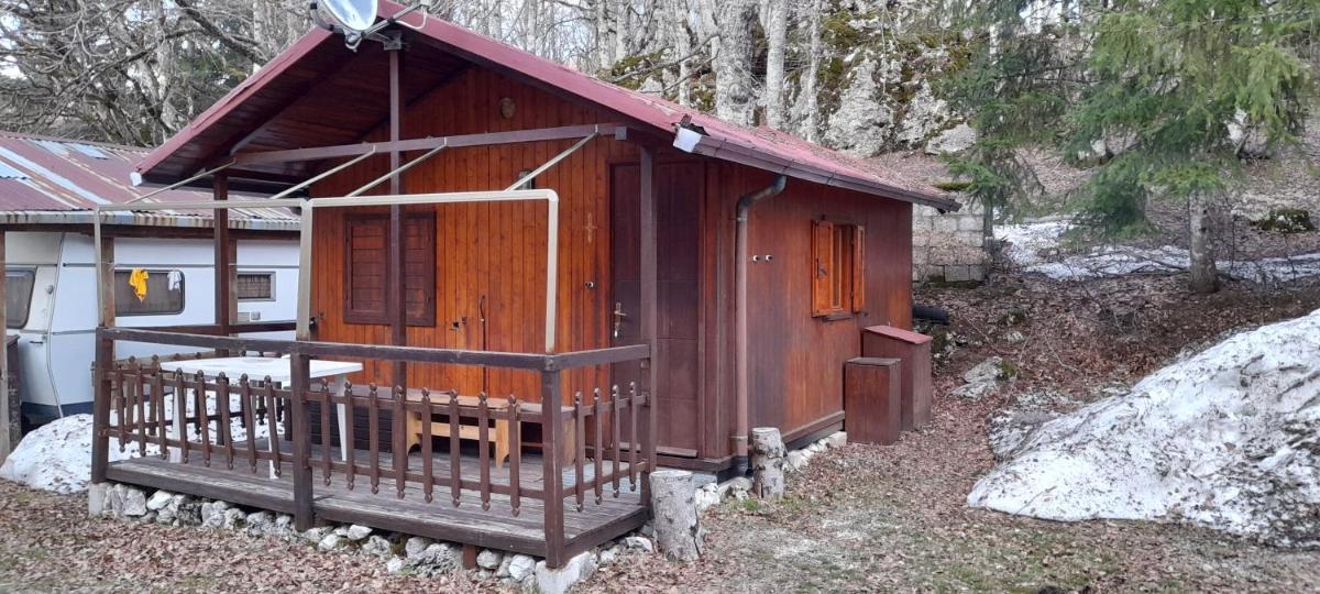 Bungalow photo 2
