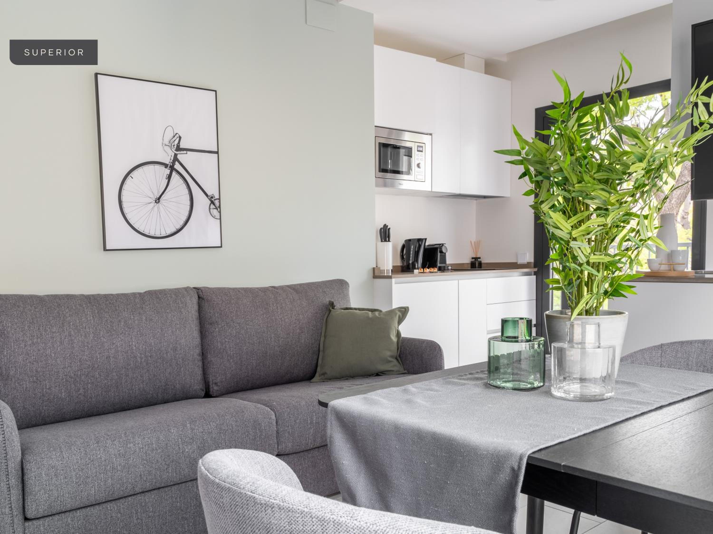 Superior Apartment - Photo 7