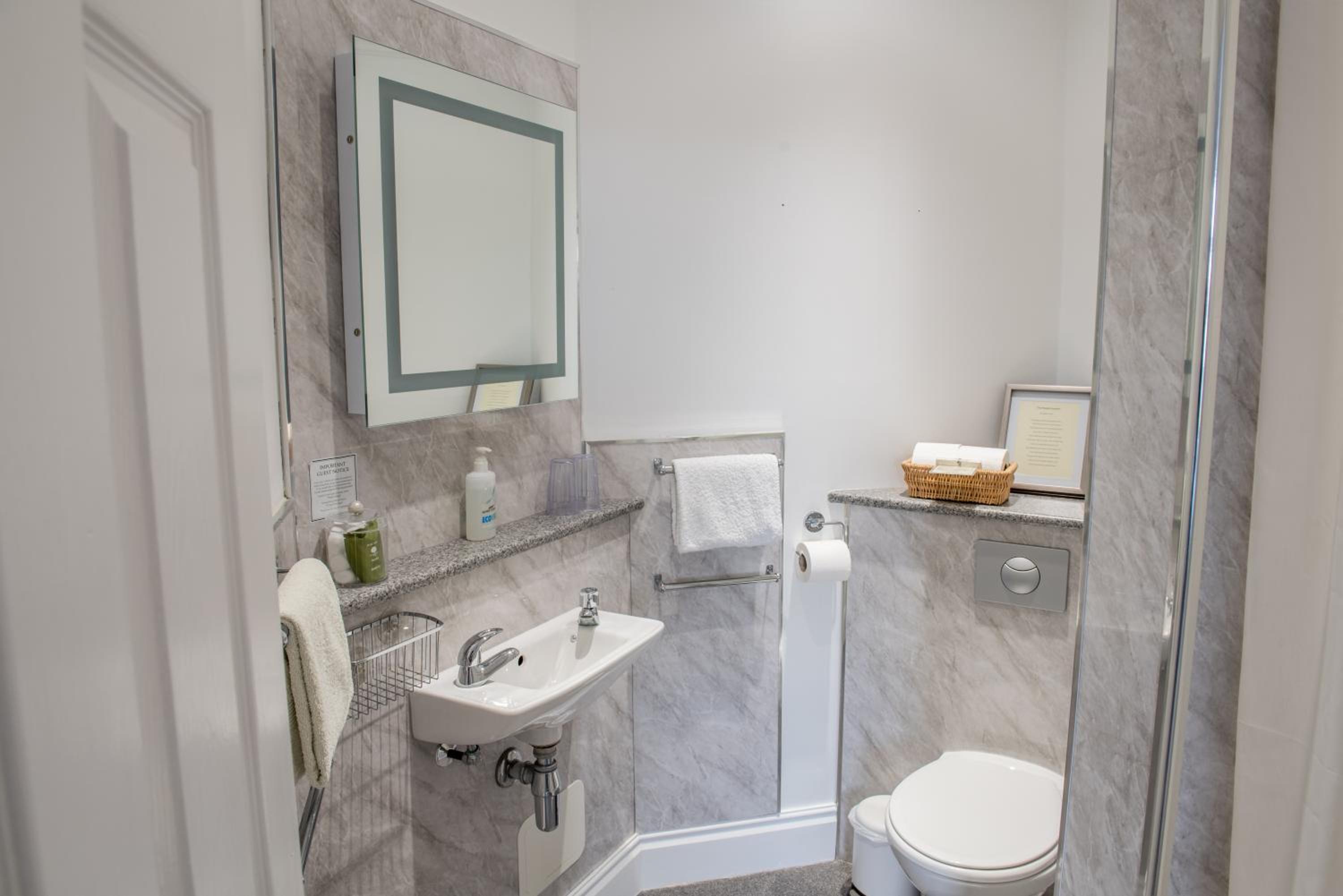 Deluxe King Suite photo 3