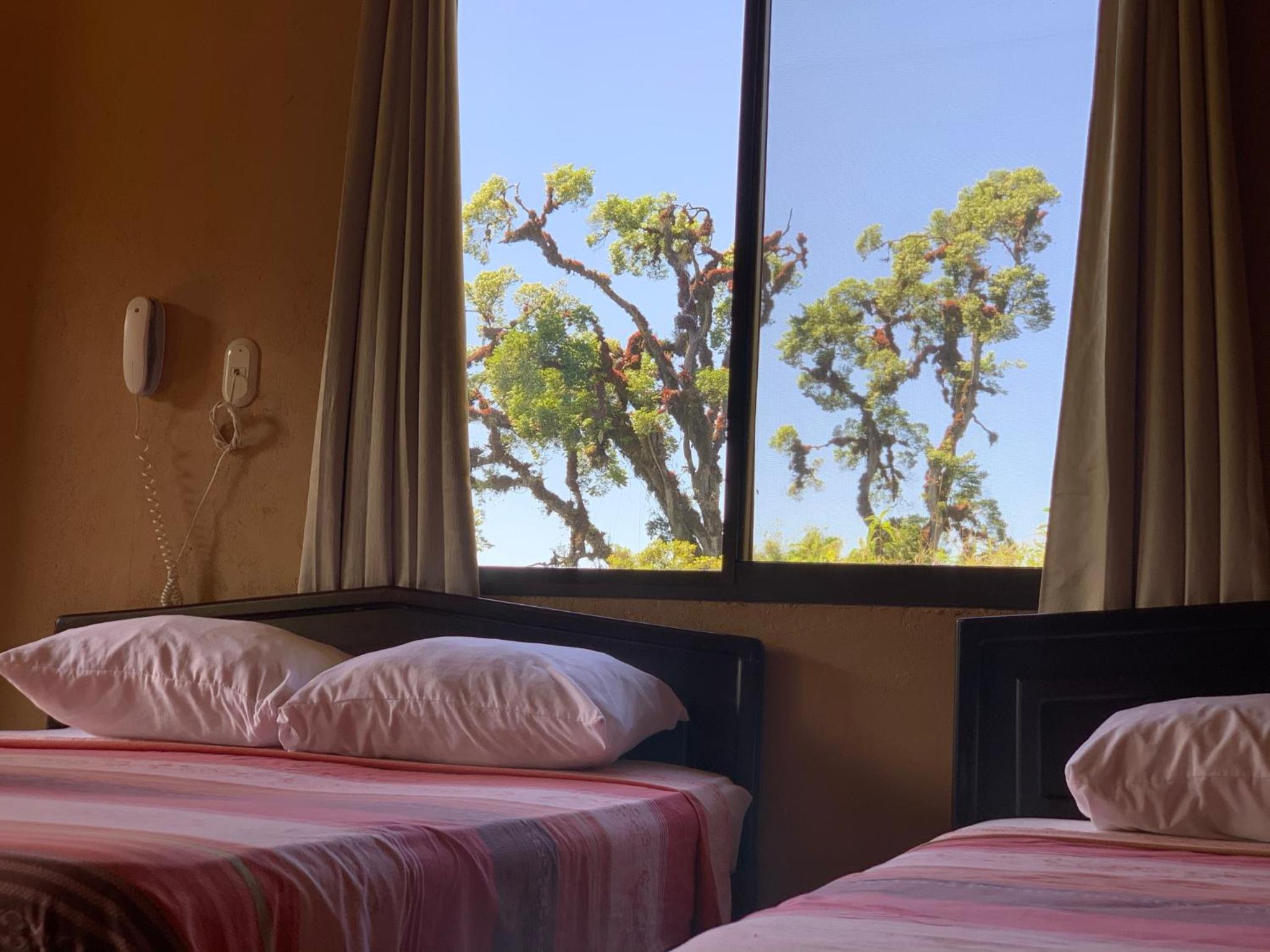 Junior Suite with Terrace