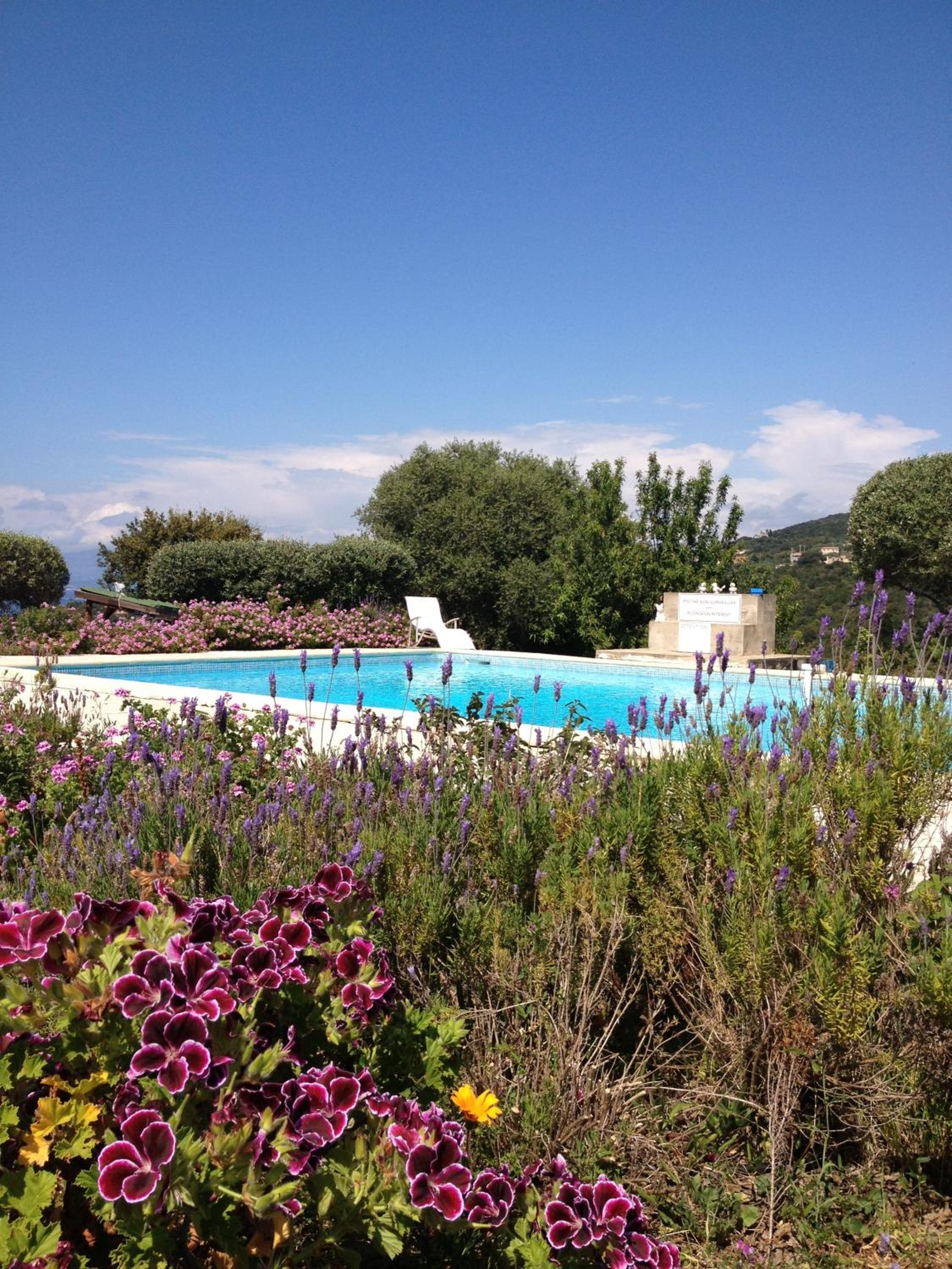 Double or Twin Room with Terrace and Sea View - Photo 4