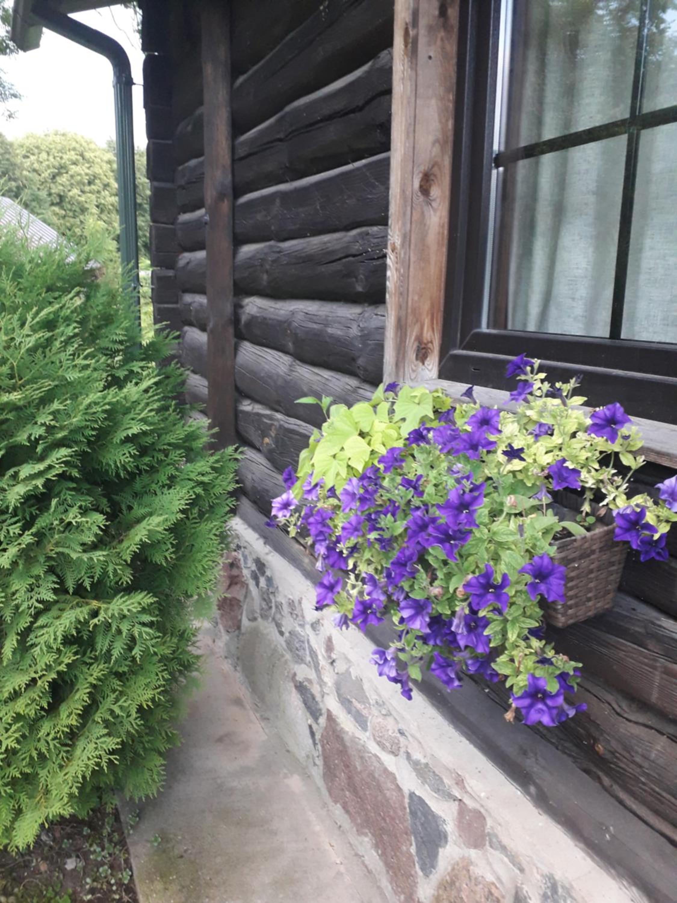 Vacation Home - Photo 26