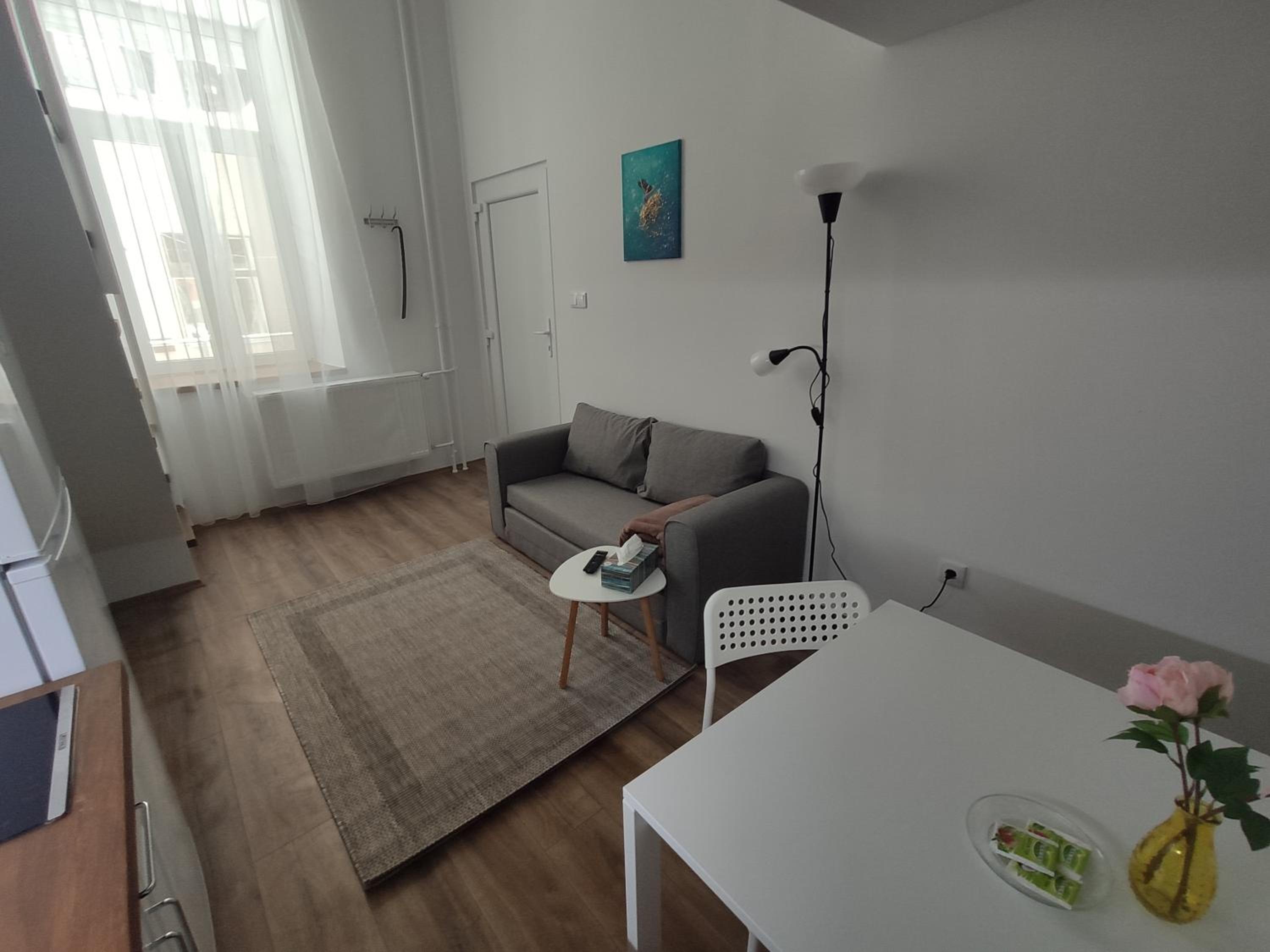 One-Bedroom Apartment - Photo 4