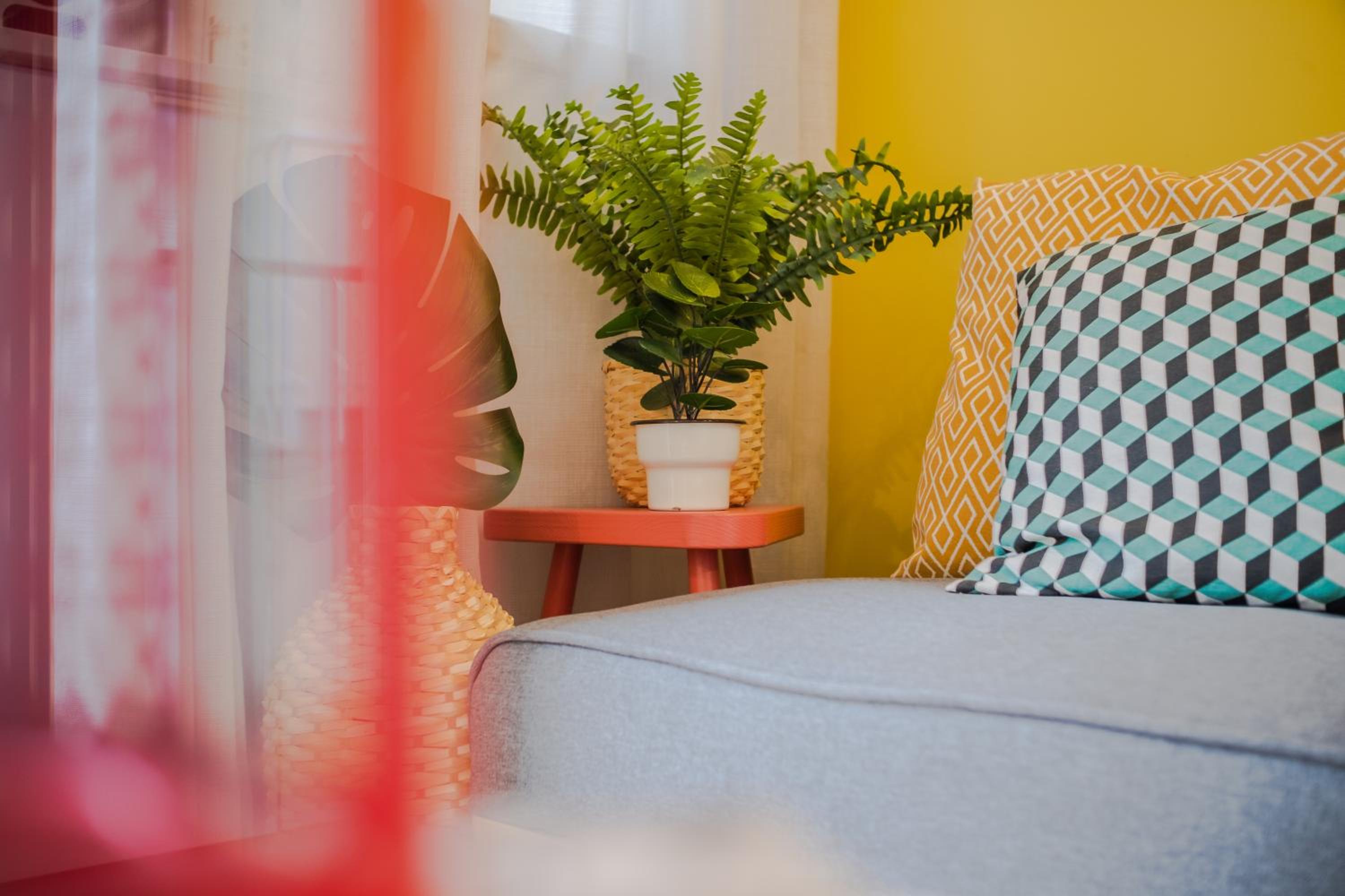 Apartment - Photo 10