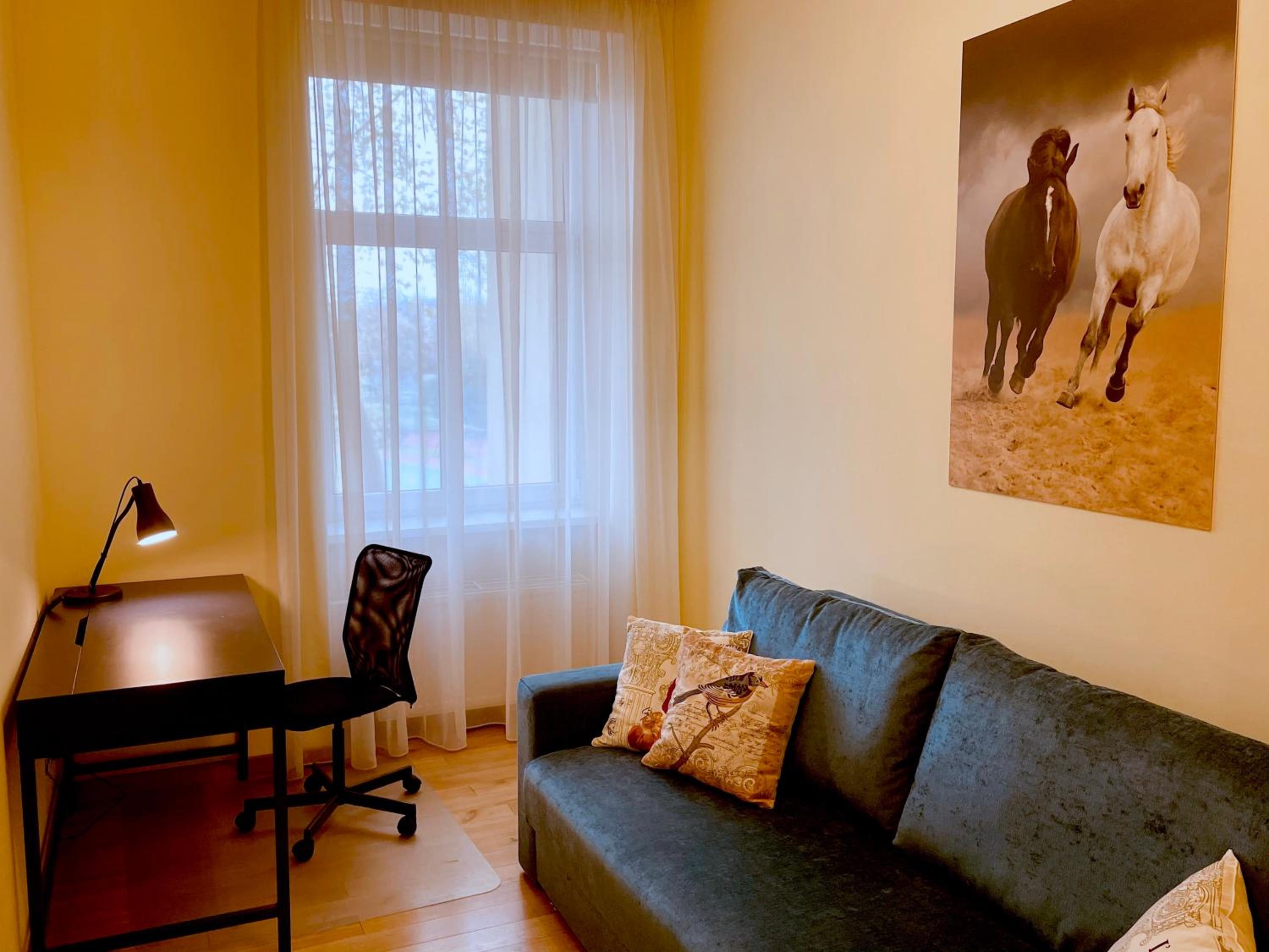 Large One bedroom Apartment with Work room photo 3