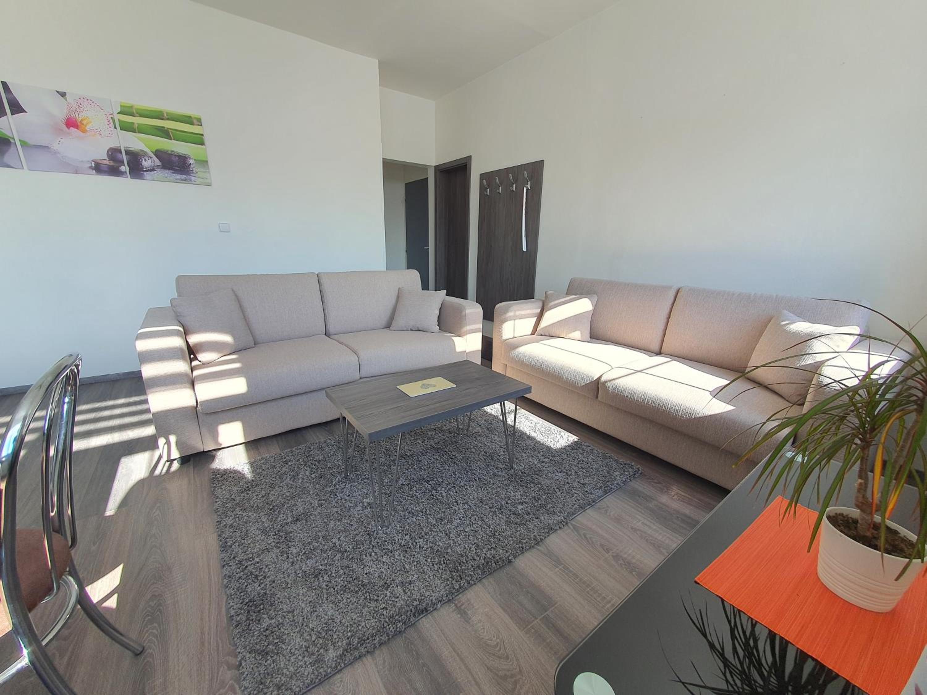 Executive Suite photo 2