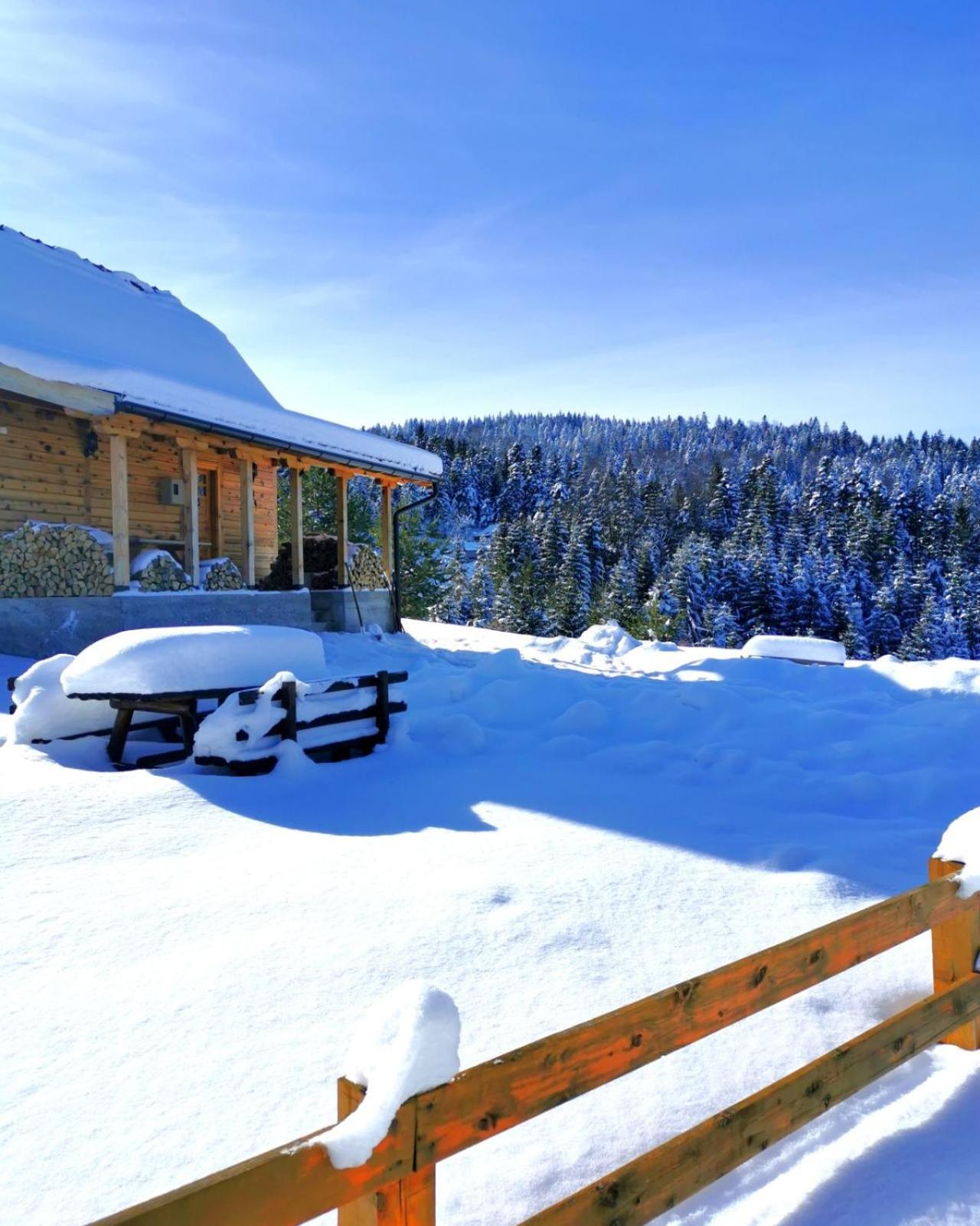 Vacation Home photo 1