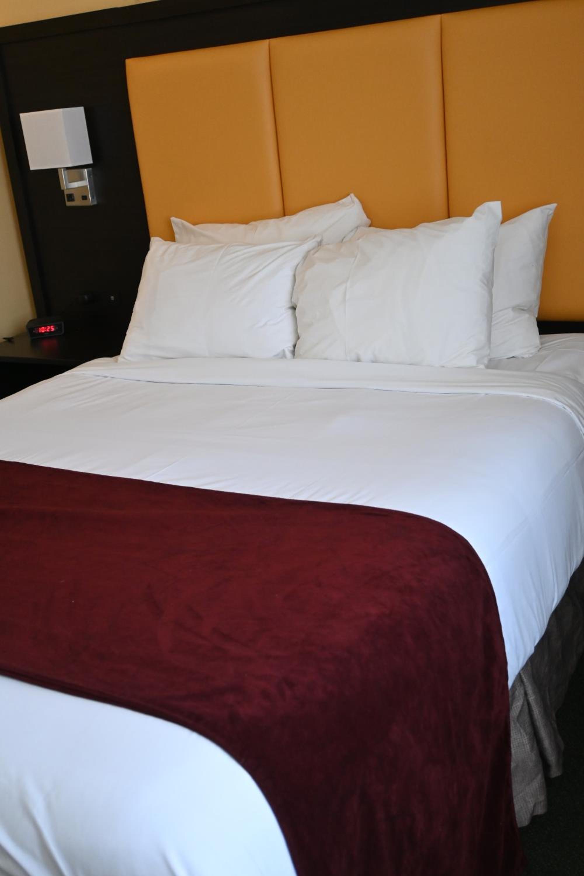 Queen Room - Photo 3