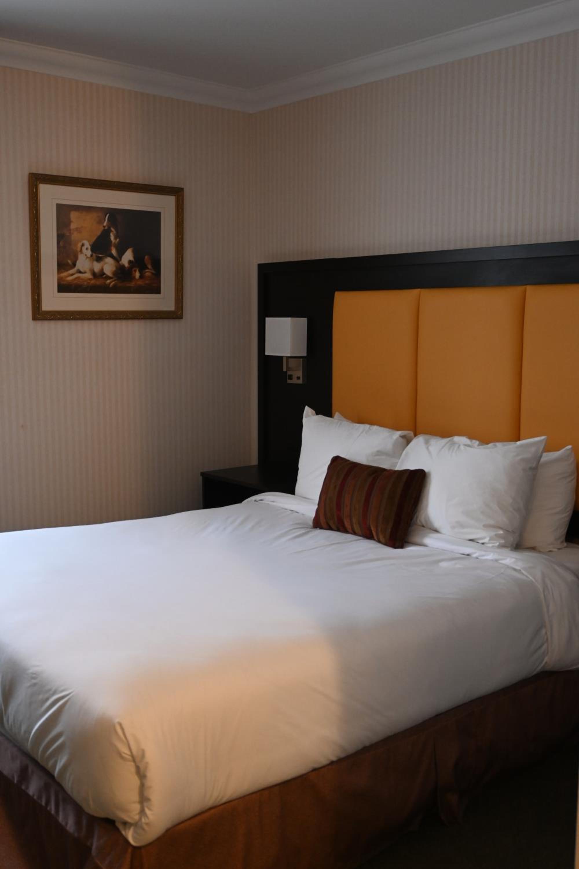 Queen Room - Photo 2