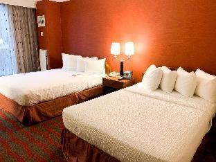 King Room - Mobility Access - Photo 5
