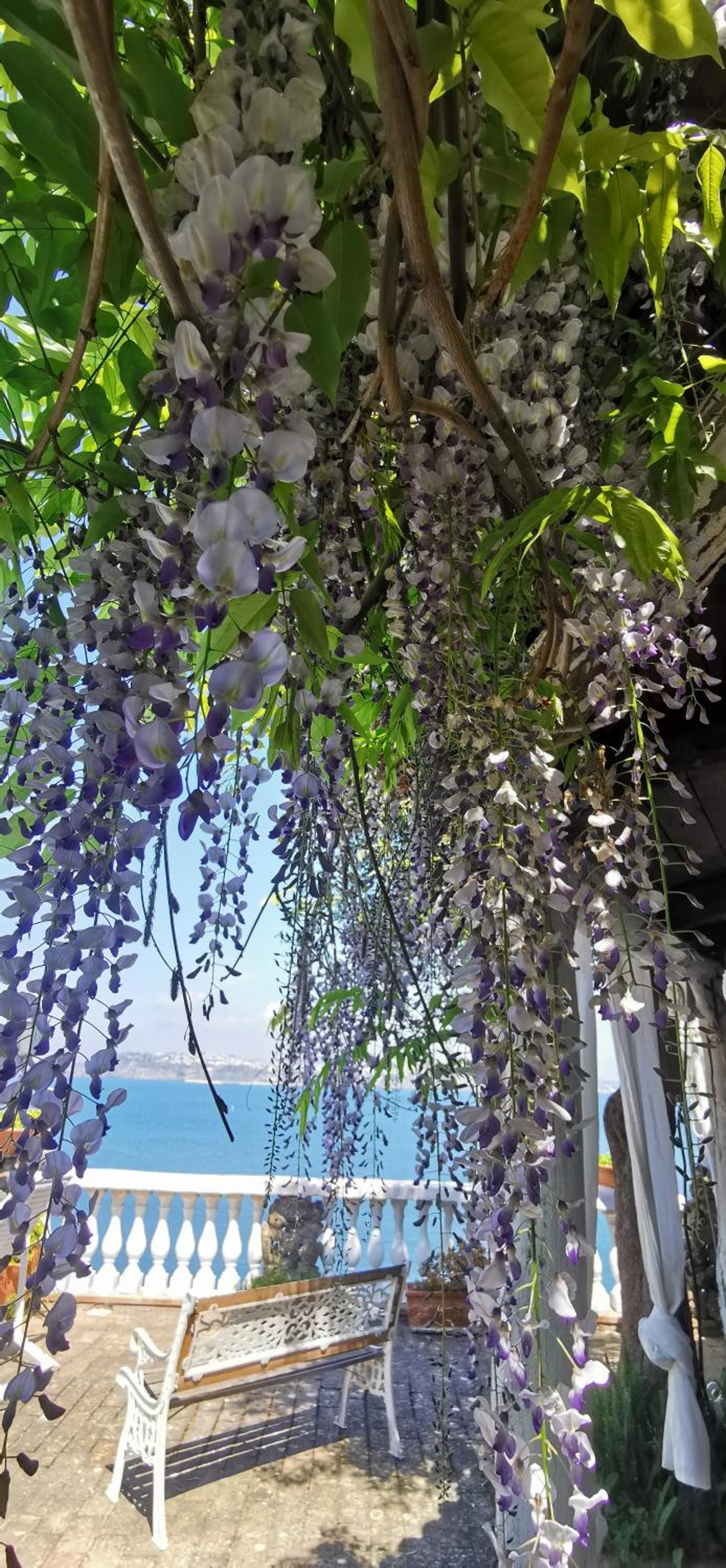 Double Room with Sea View - Photo 14
