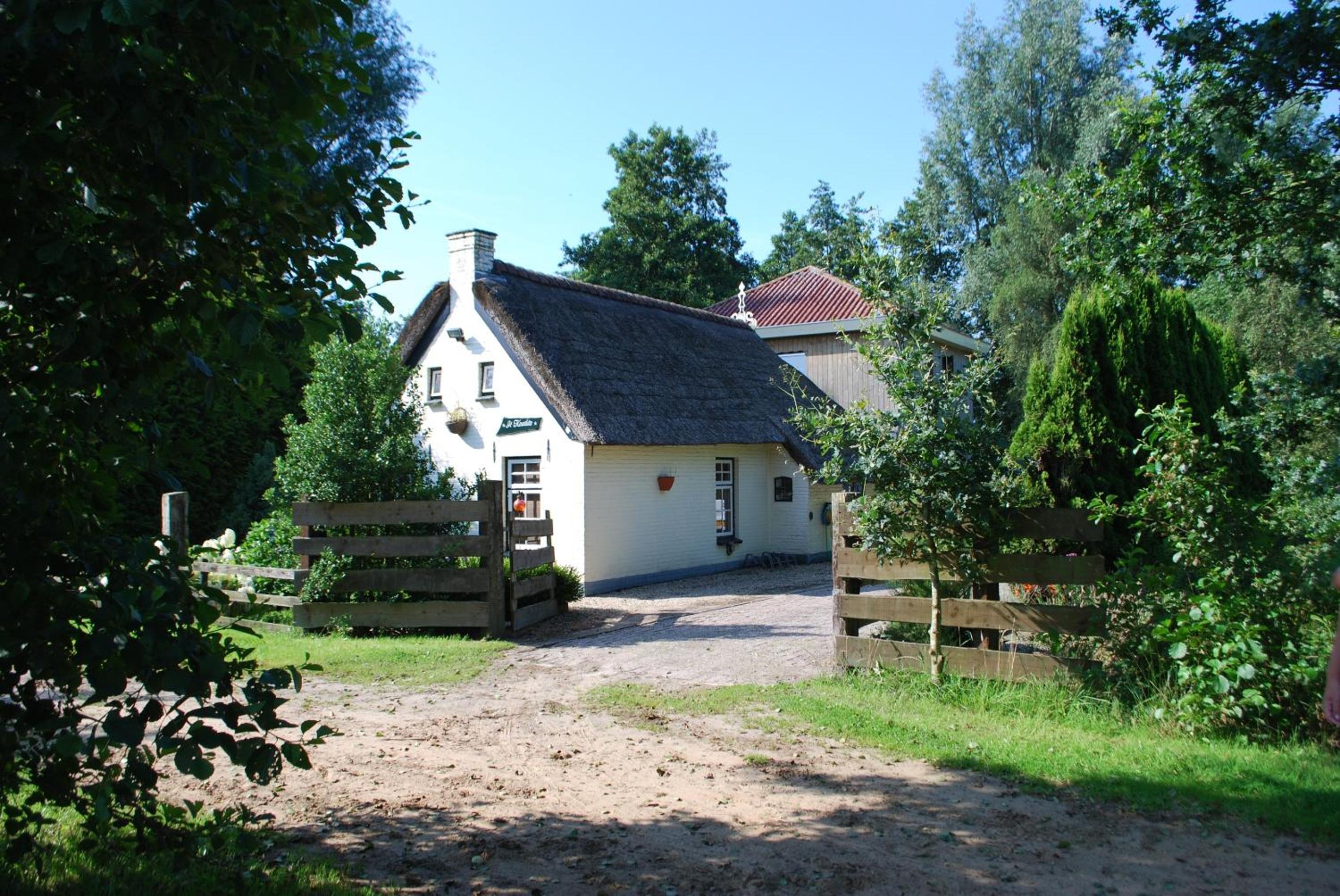One-Bedroom House photo 2