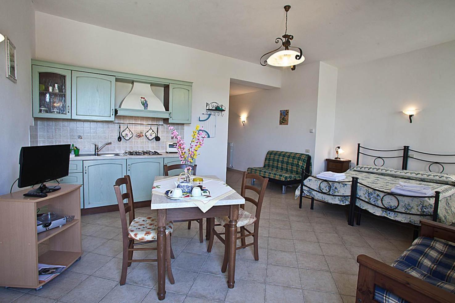 Superior Studio Apartment photo 3