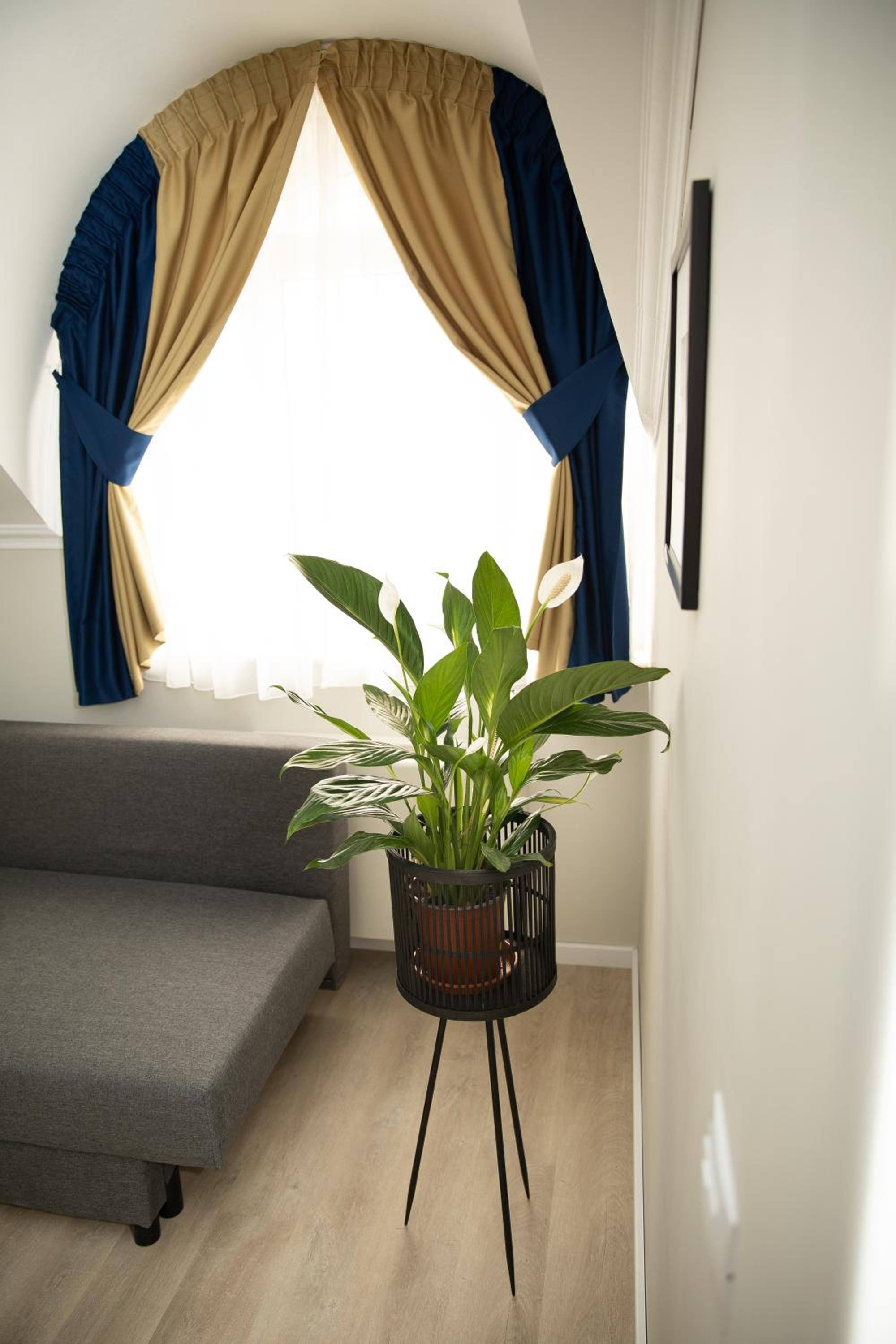 One-Bedroom Apartment photo 3