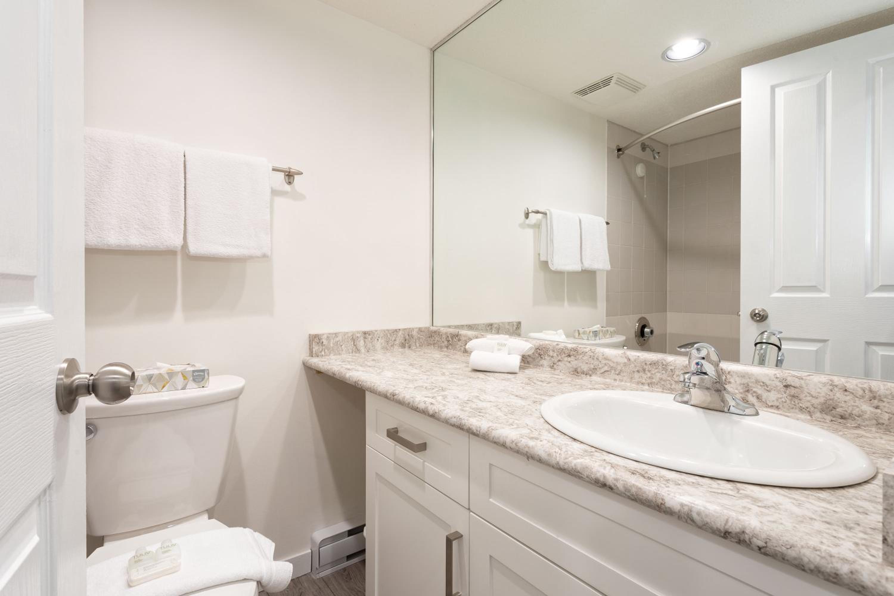 Condo, 2 Bedrooms (Unit 231) photo 3
