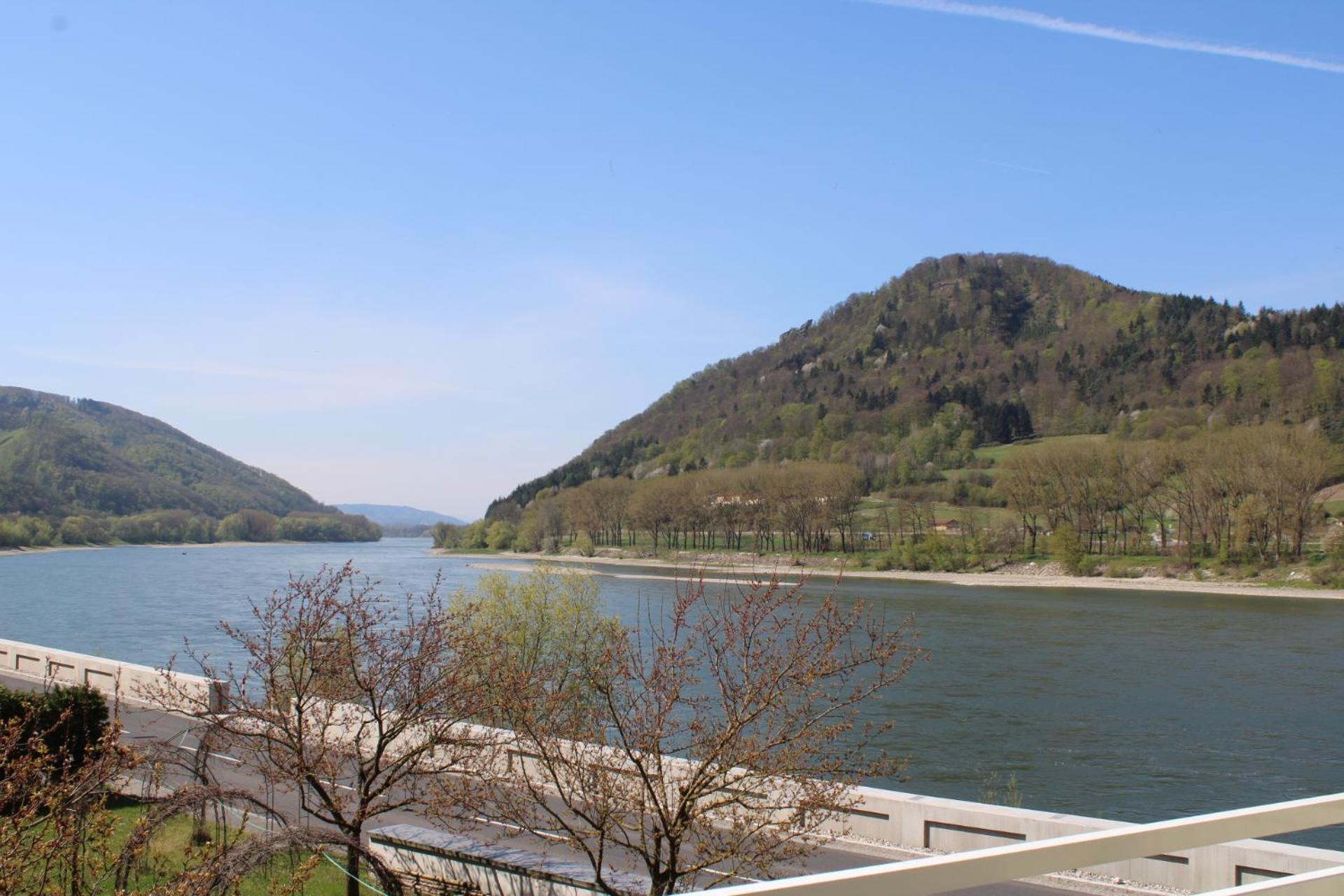 Deluxe Suite with River View photo 3