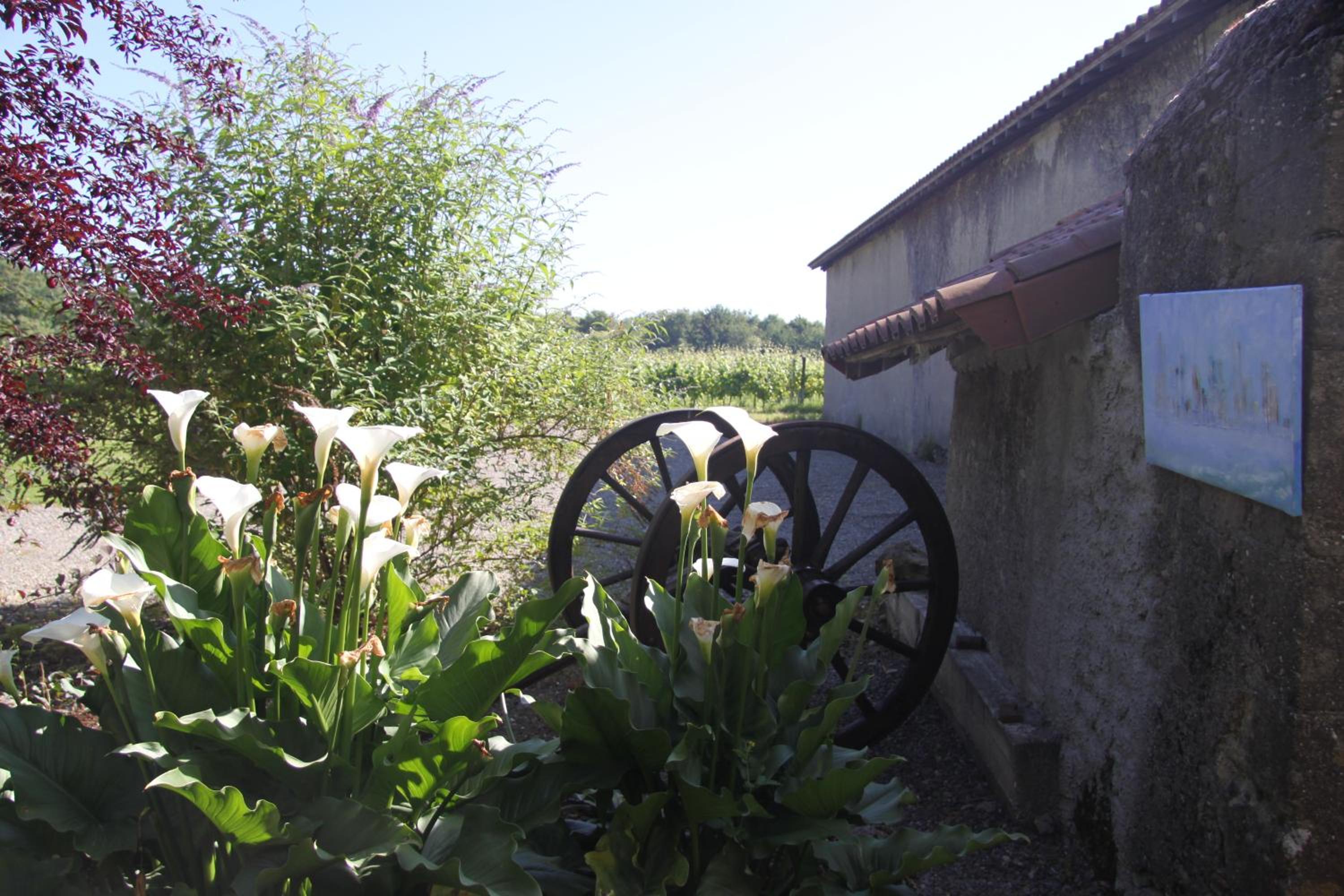 Three-Bedroom House - Photo 5