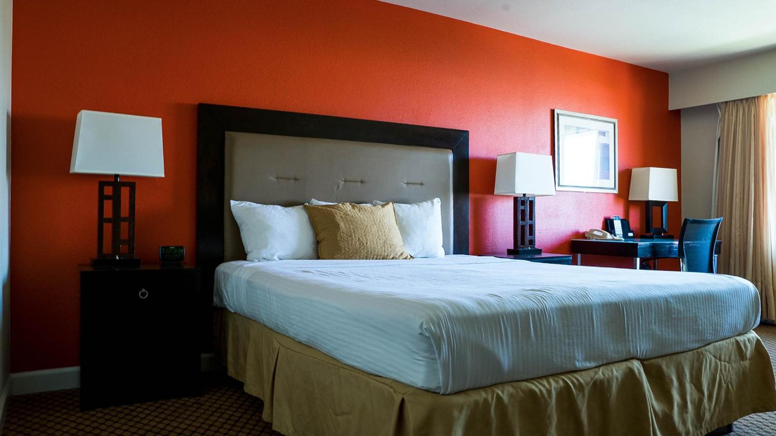 Deluxe King Suite - Non-Smoking - Photo 2