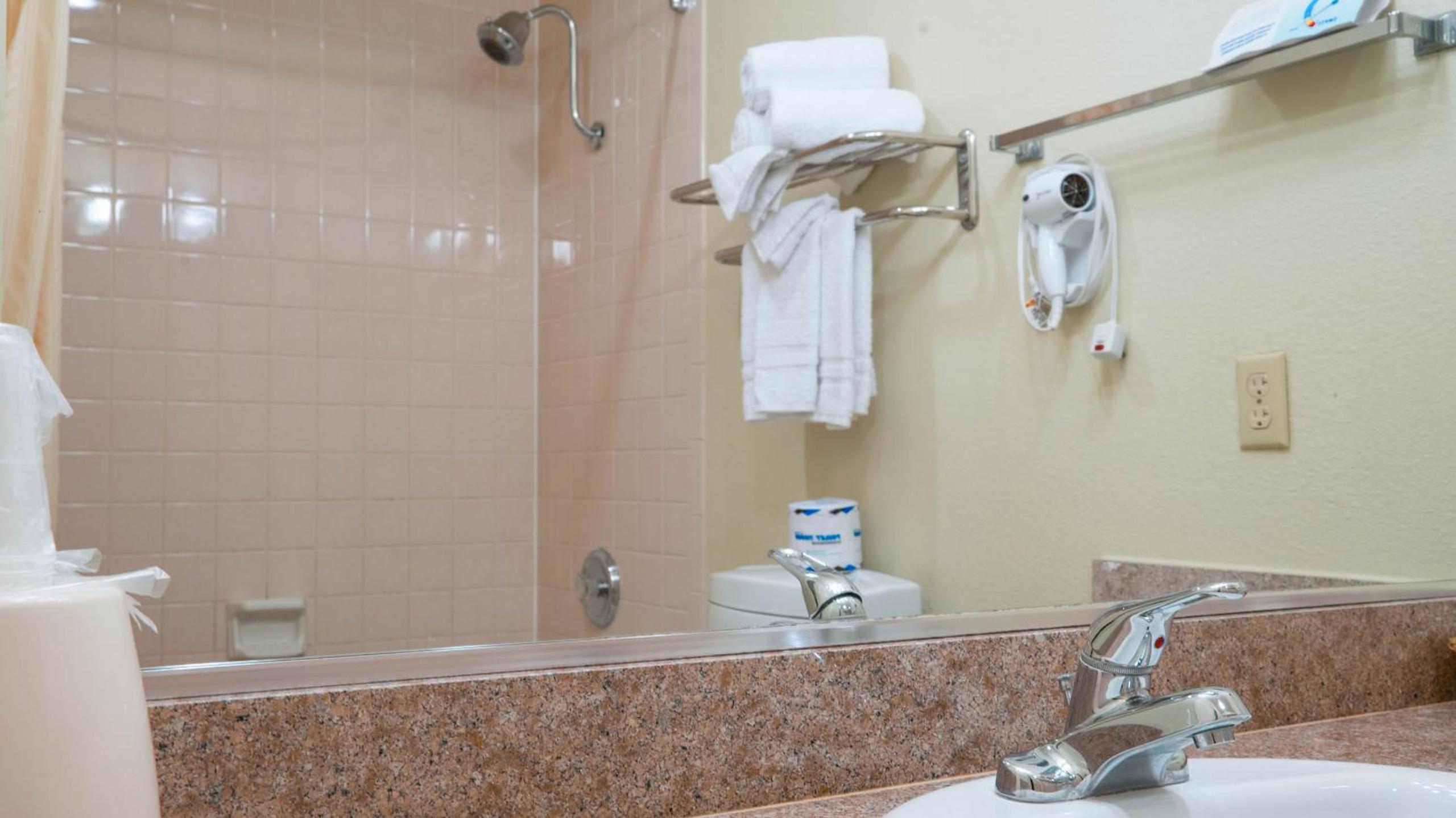 Deluxe King Suite - Non-Smoking - Photo 4