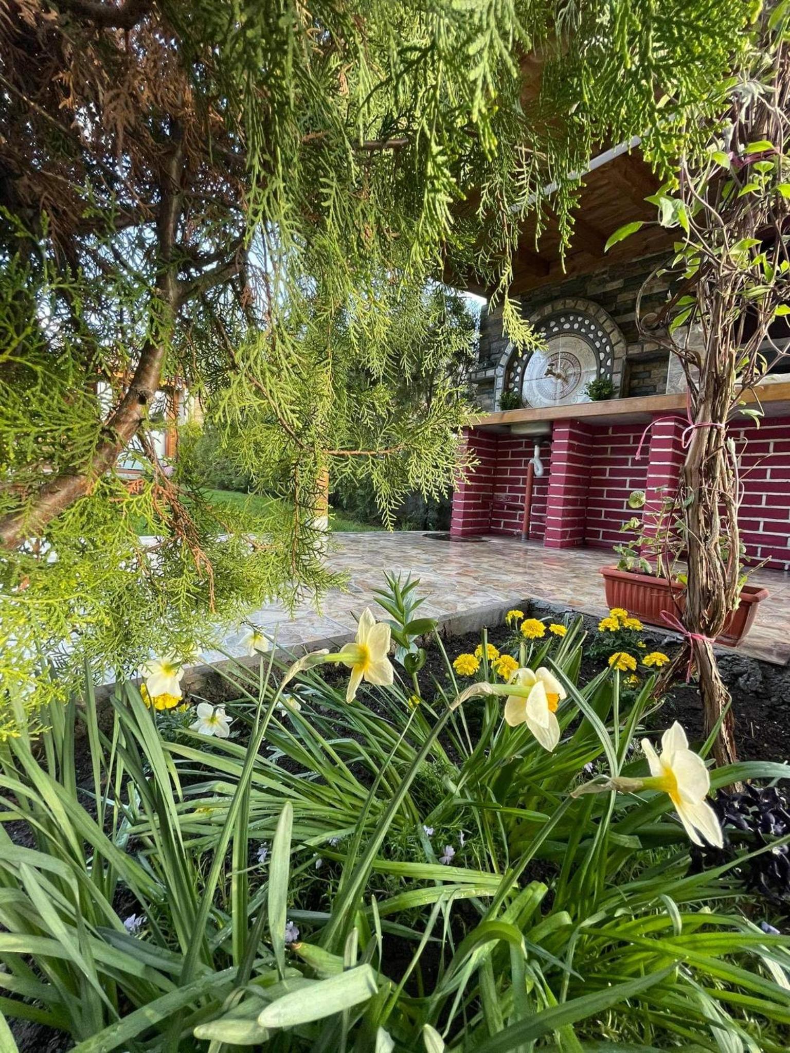 Villa with Garden View photo 3