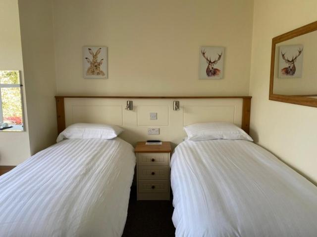 Standard Twin Room photo 3