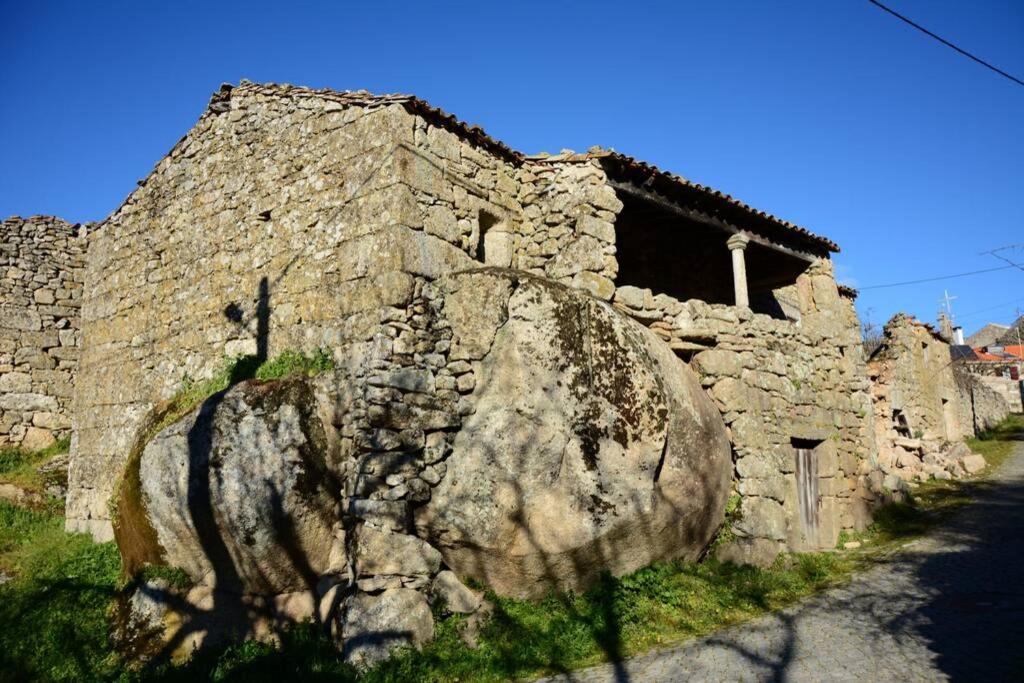 Villa - Photo 15