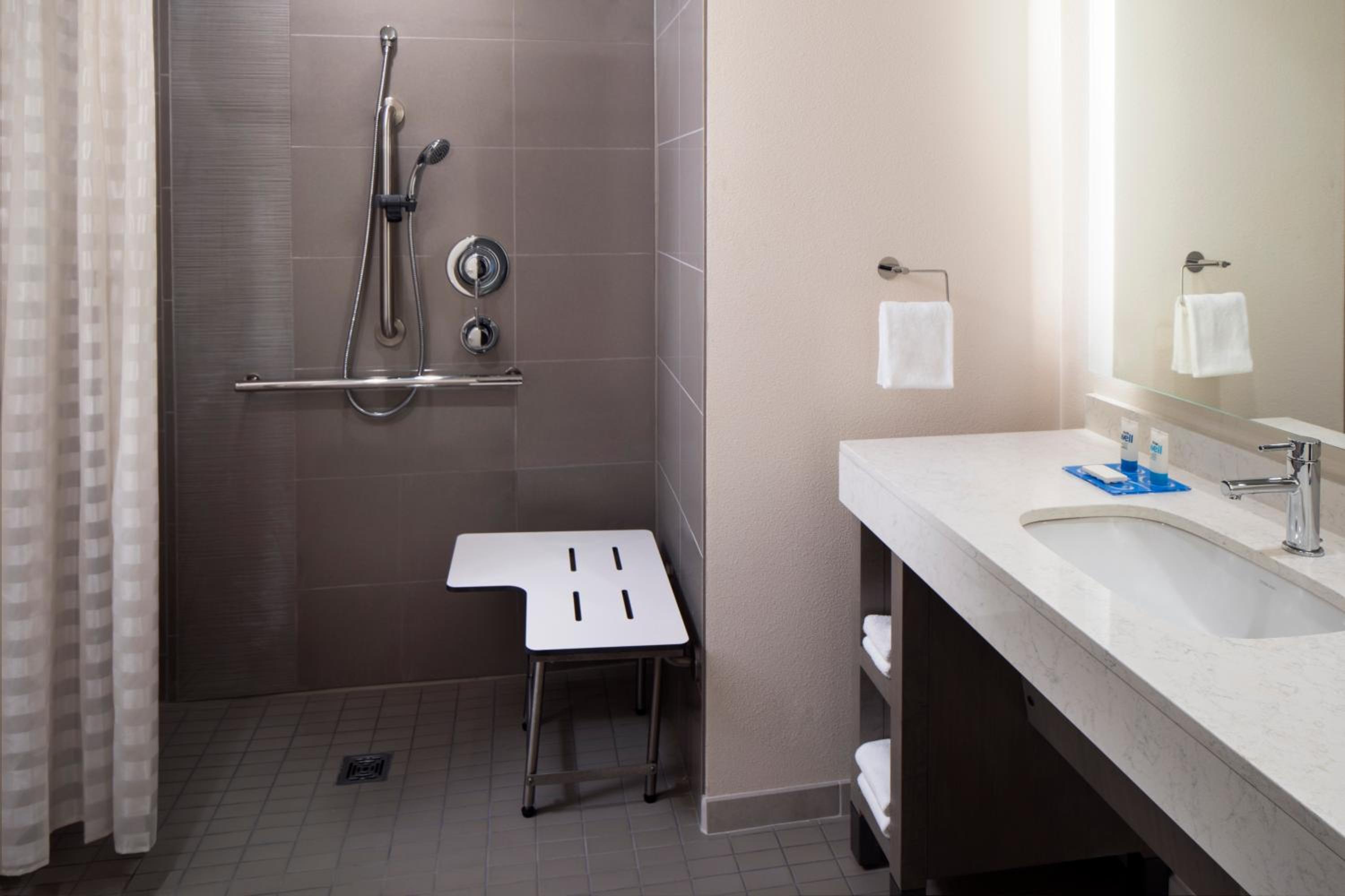 King Studio Suite with Sofa Bed and Roll-In Shower - Disability Access - Photo 4