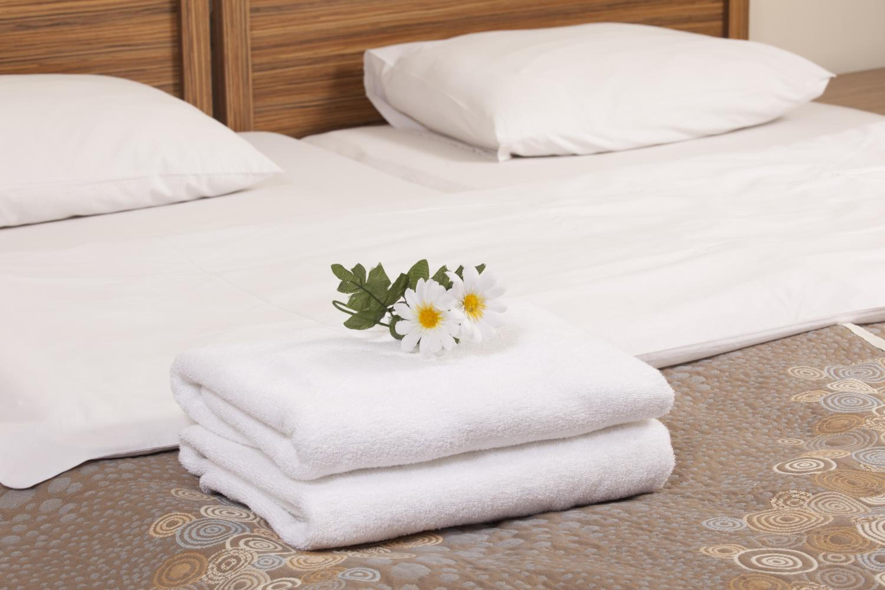 Standard Single Room photo 3