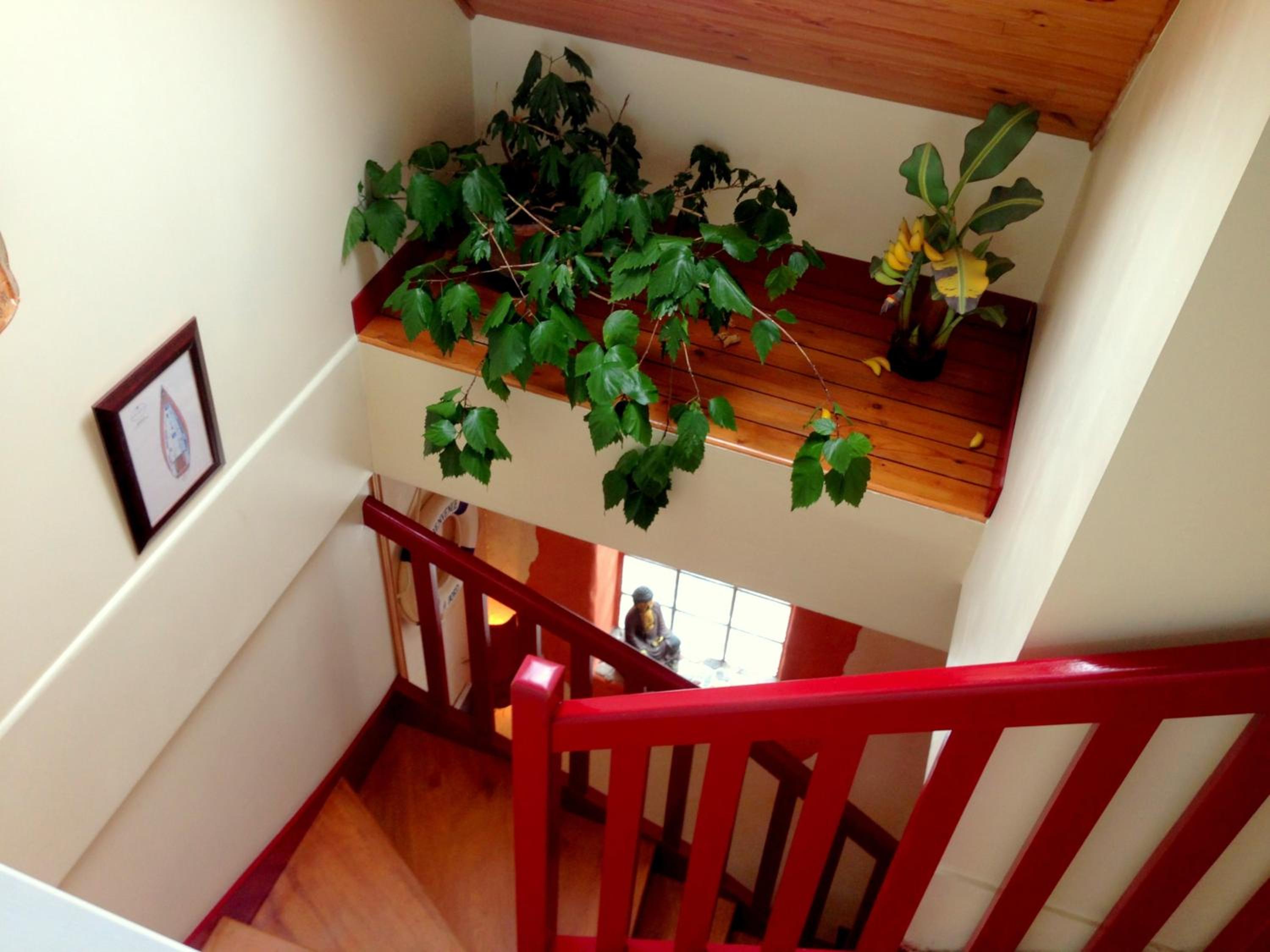Holiday Home photo 1