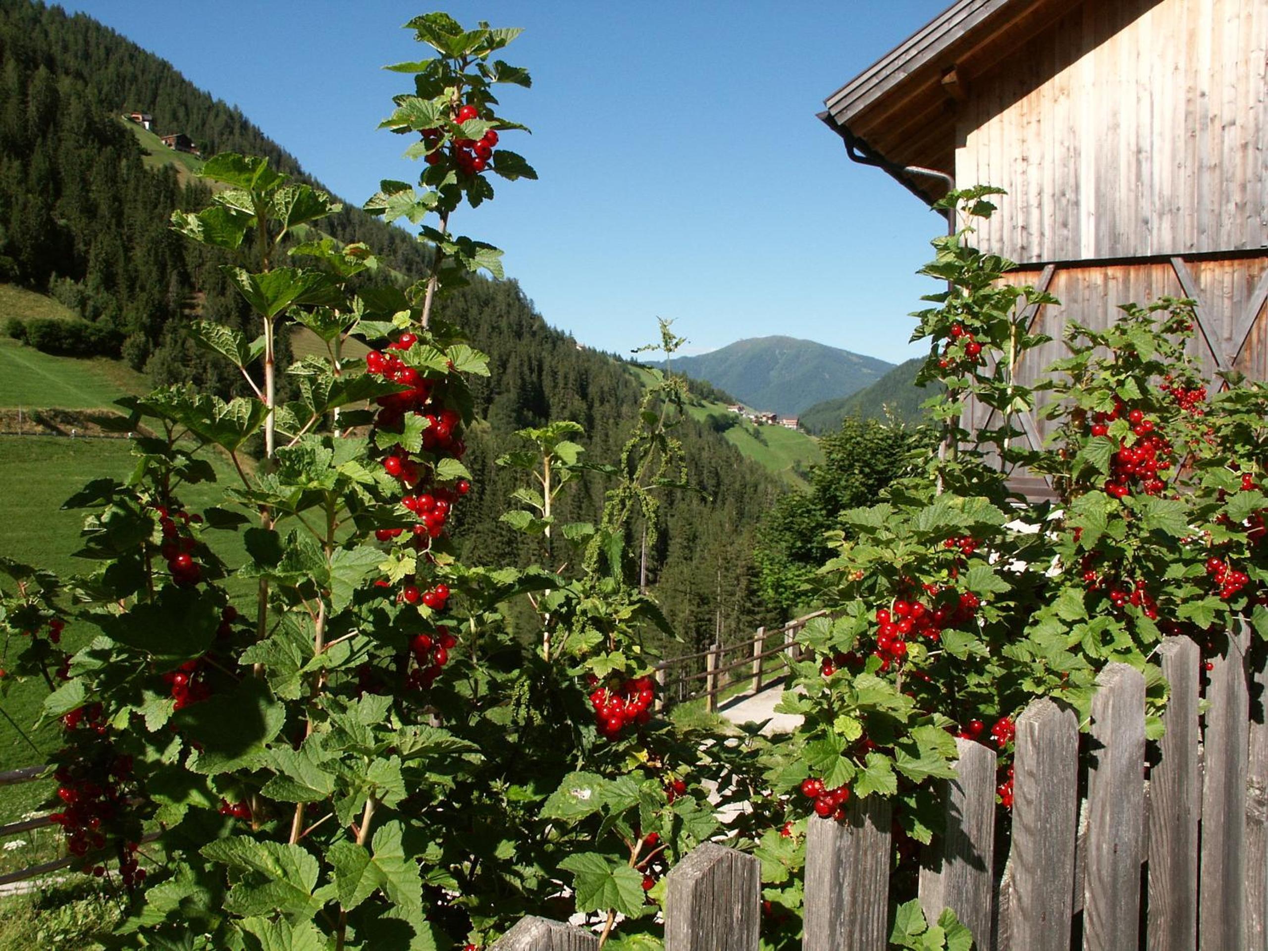 Two-Bedroom Apartment with Balcony (5 Adults)