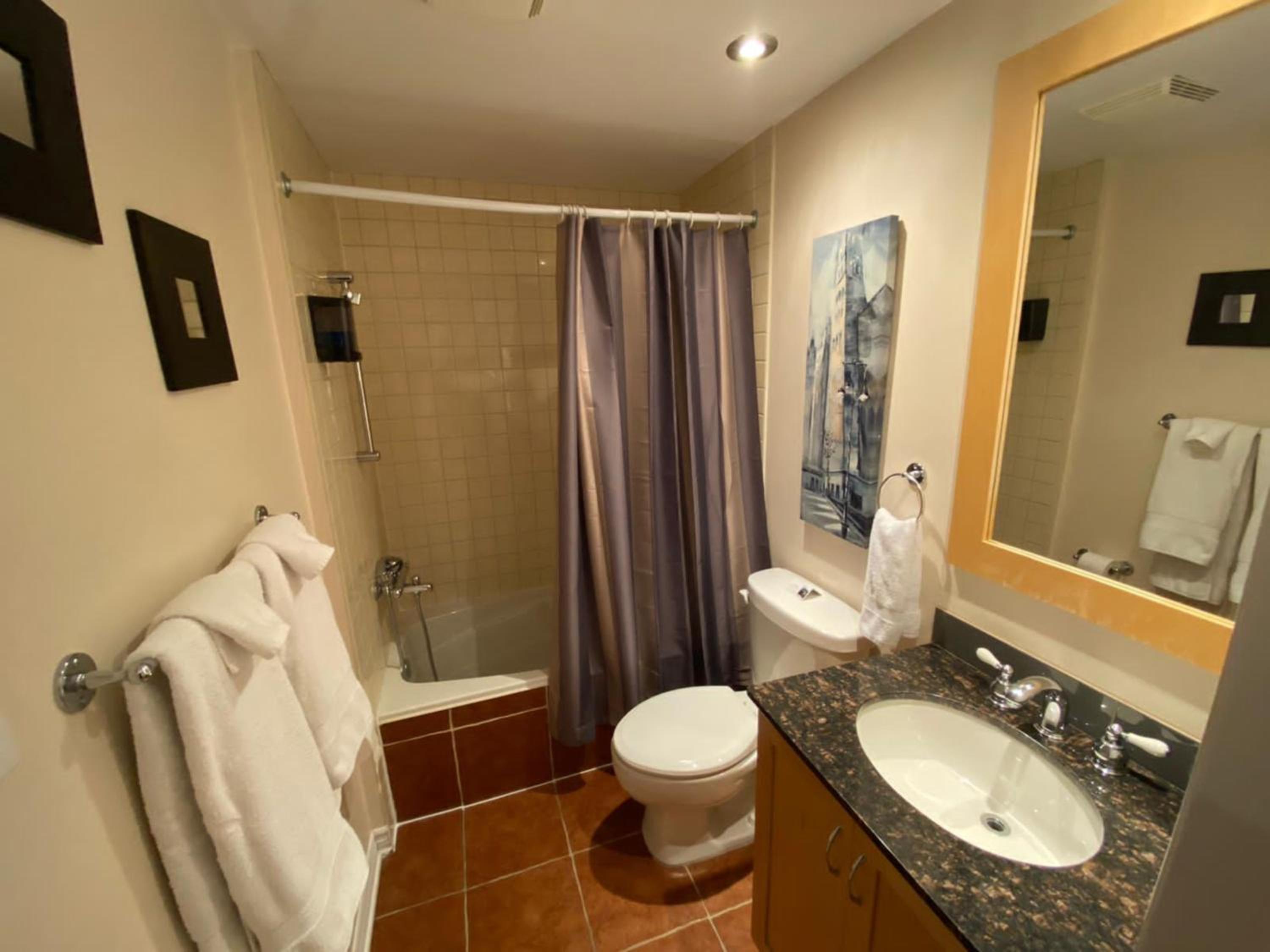 Bright Suite 303 thumbnail 6