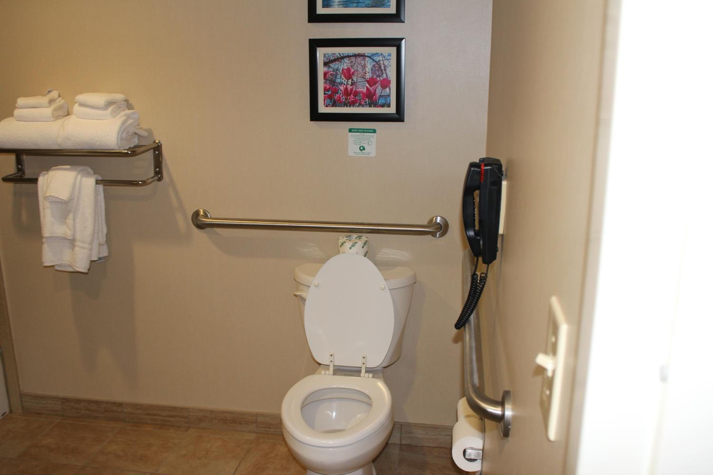 King Suite with Accessible Tub - Accessible/Non-Smoking - Photo 5