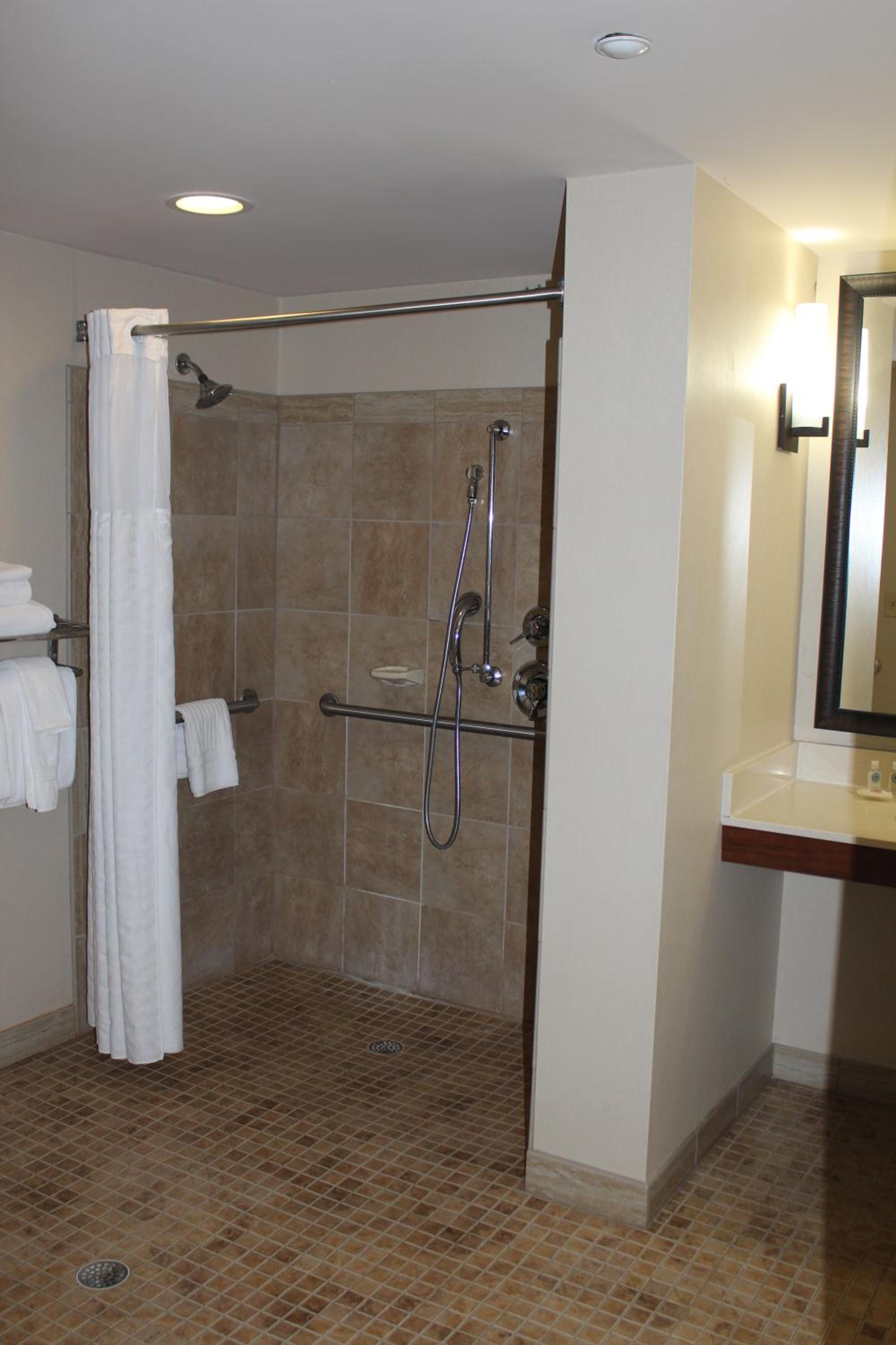 King Suite with Roll-In Shower - Accessible/Non-Smoking