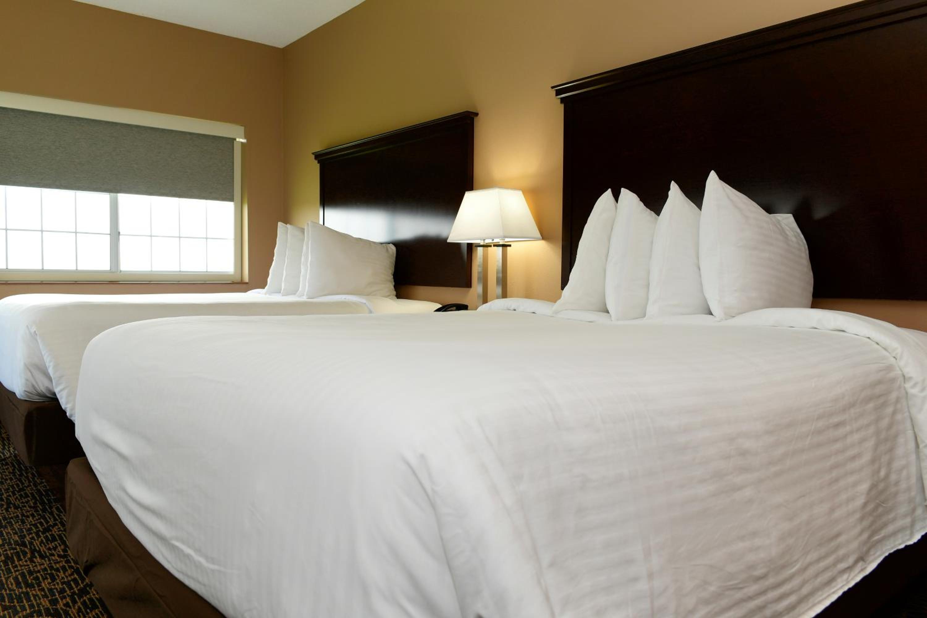 Two Queen Standard Suite photo 2