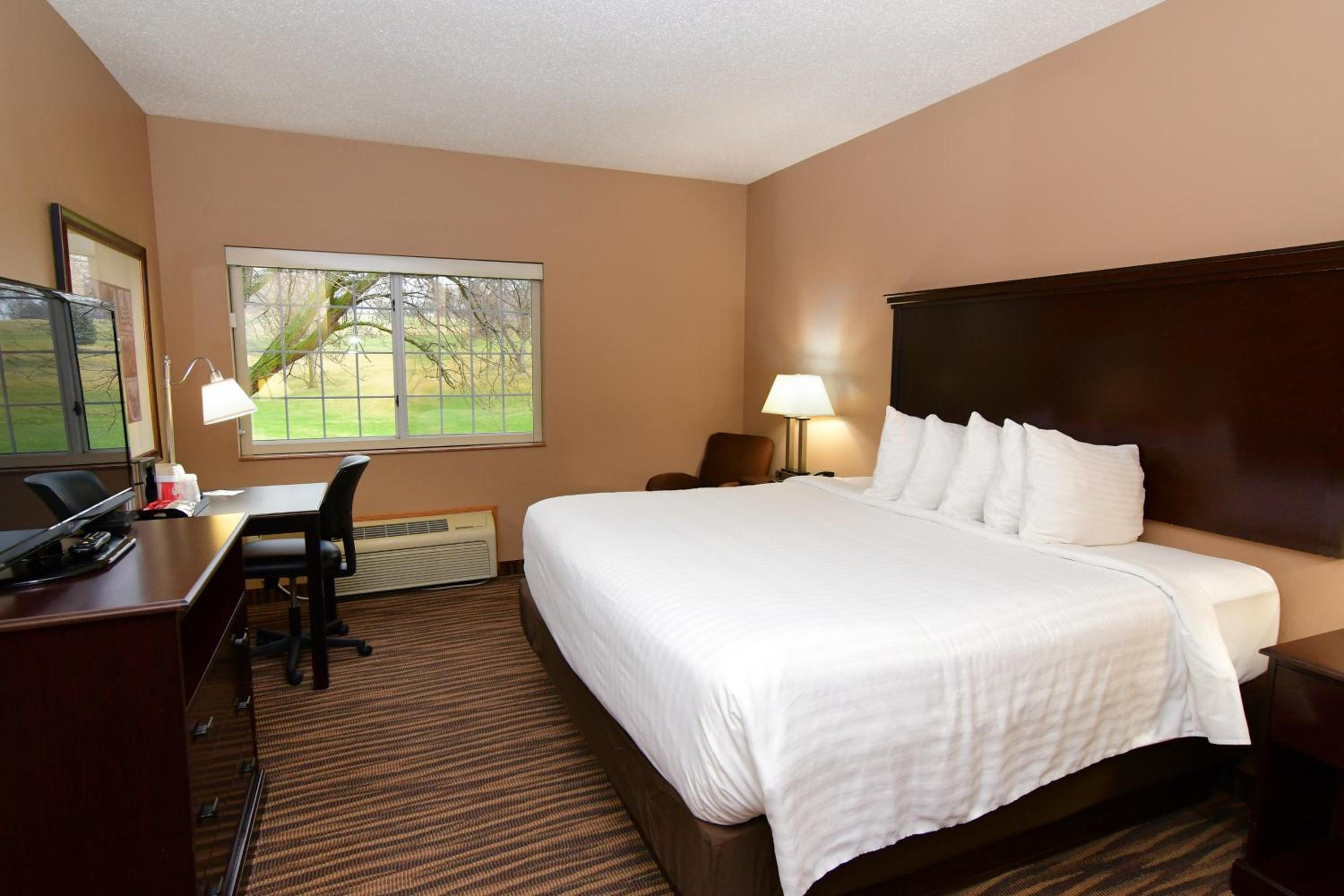 Standard King Room photo 2