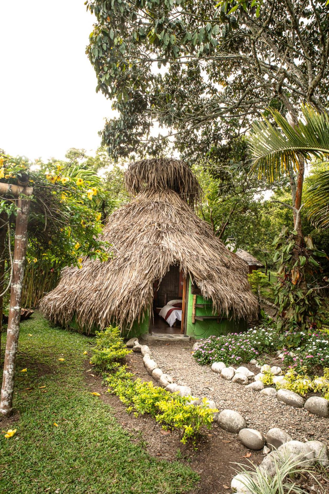 Bungalow with Garden View photo 3