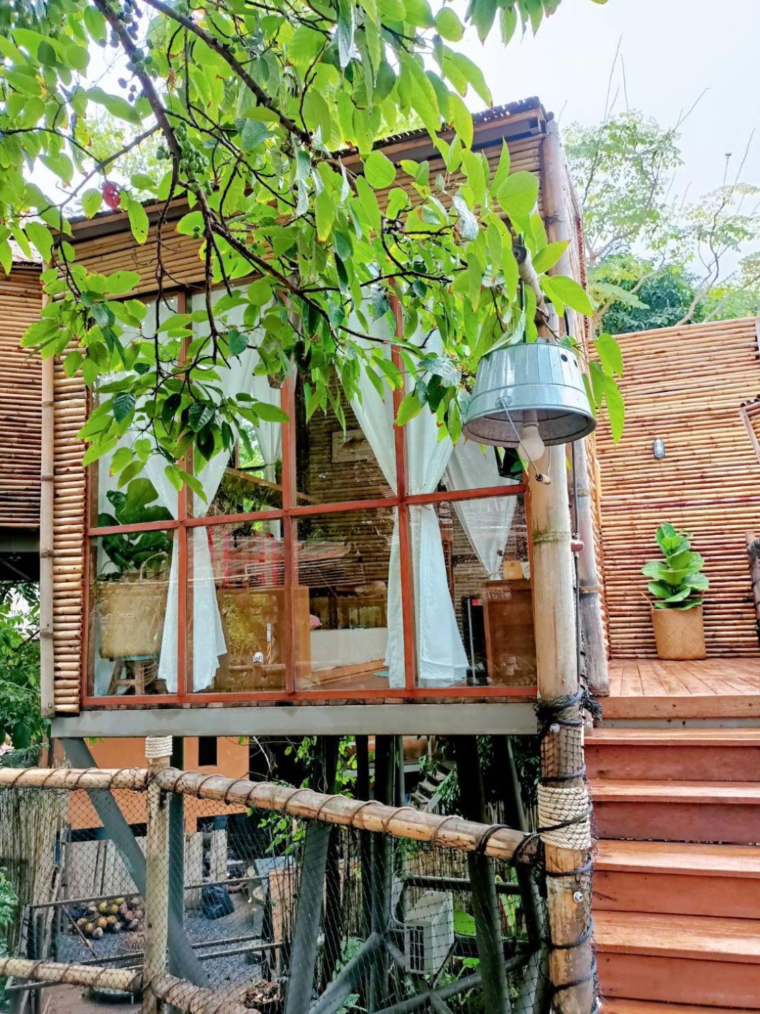 Tree House Bamboo Villa photo 2