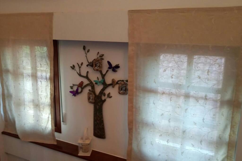 Four-Bedroom House photo 2
