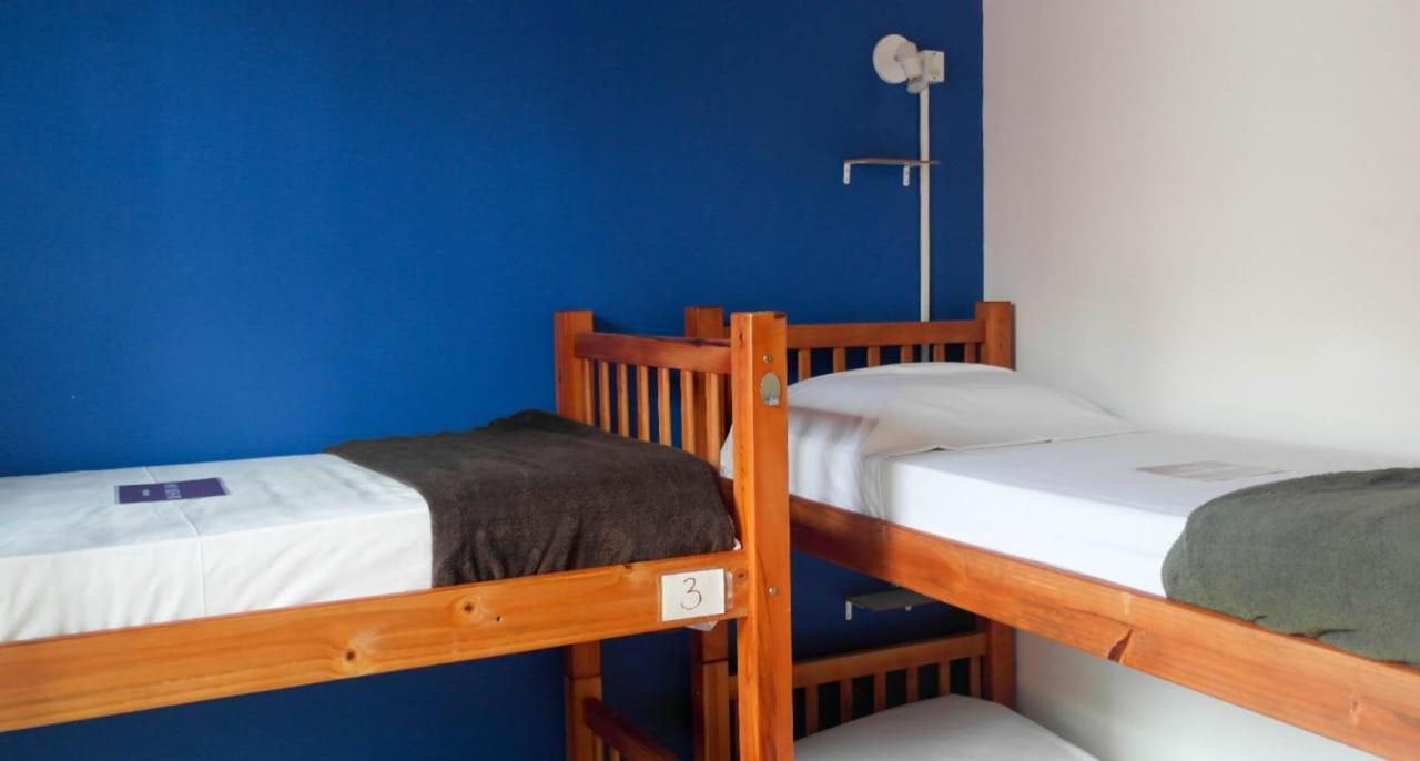 4-Bed Mixed Dormitory Room photo 1