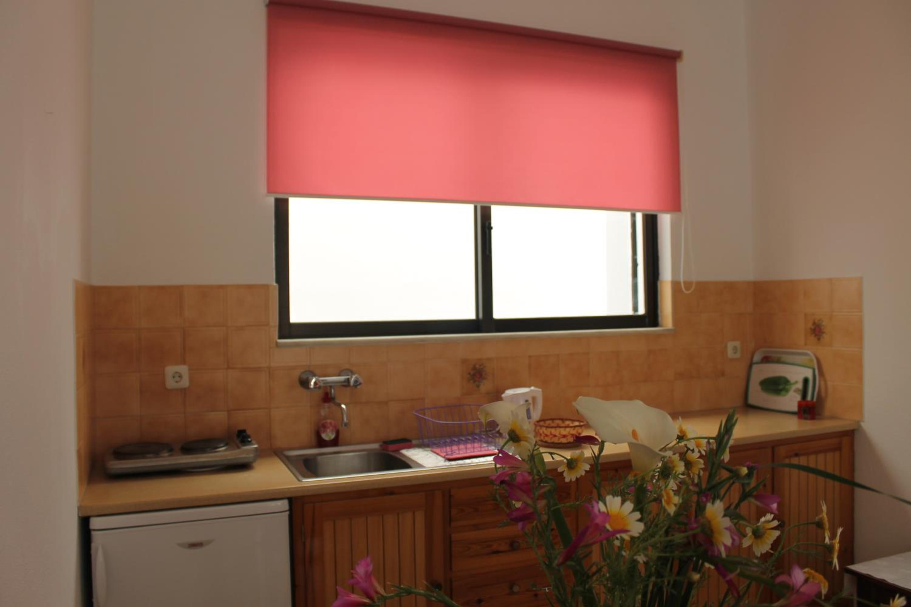 One-Bedroom Apartment (3-4 Adults) photo 1