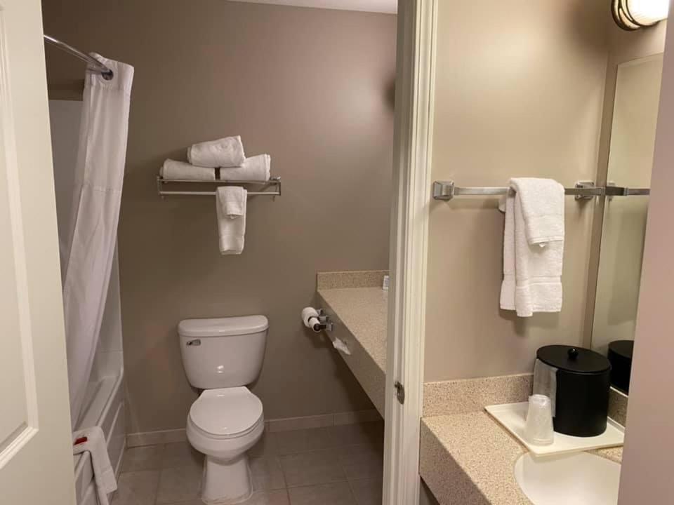 King Room - Non-Smoking - Photo 5