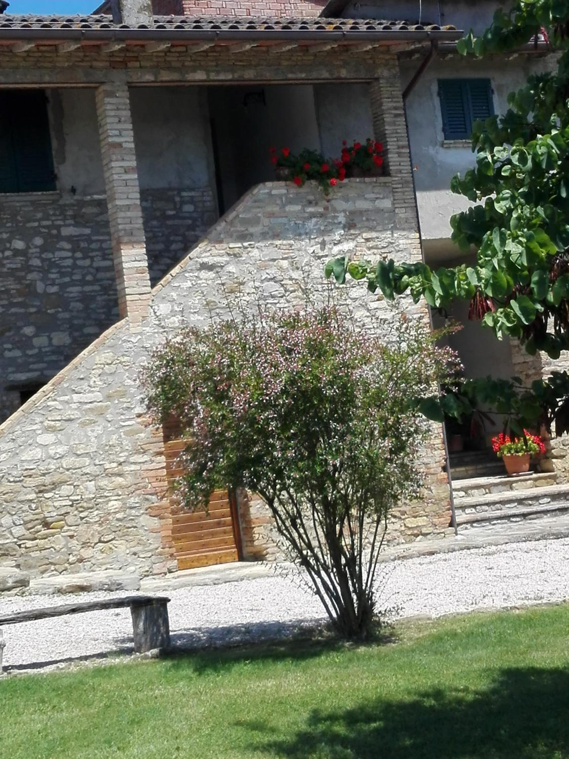 Apartment with Terrace photo 3