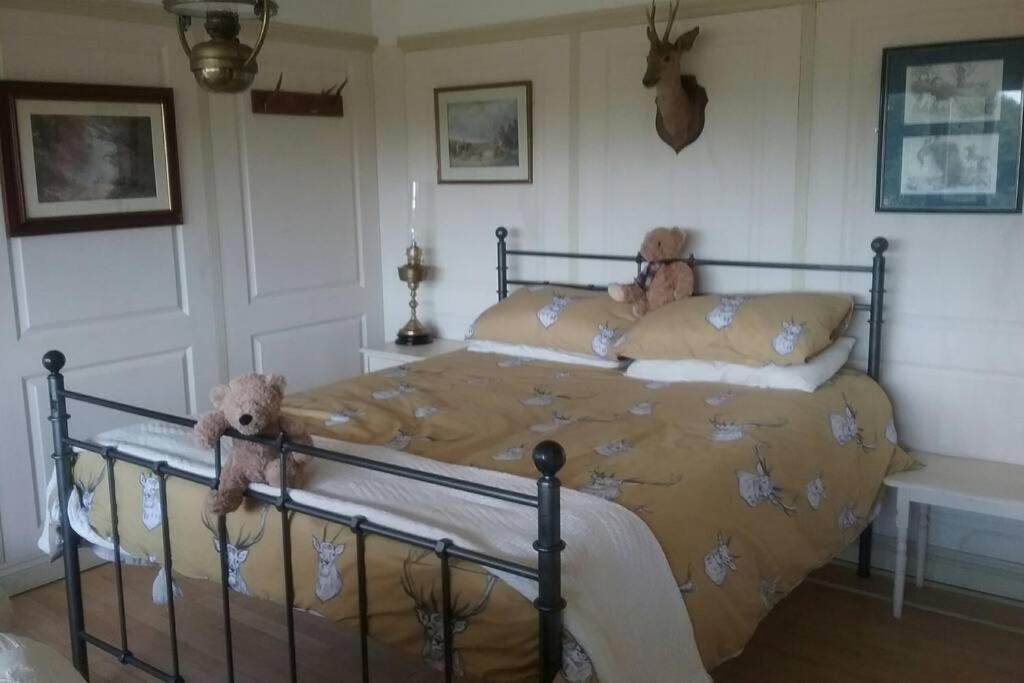 One-Bedroom House photo 1