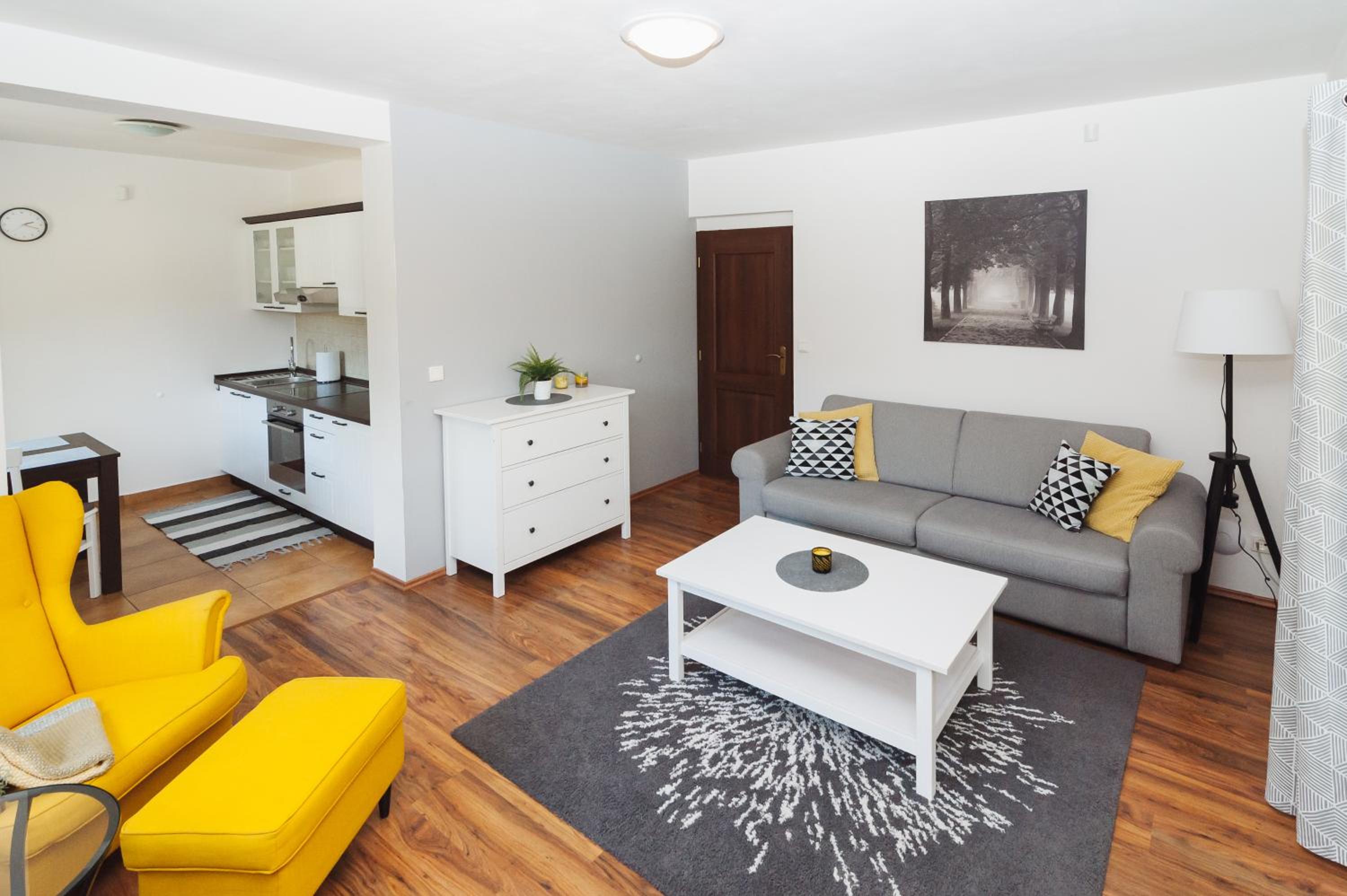 One-Bedroom Apartment - Photo 3