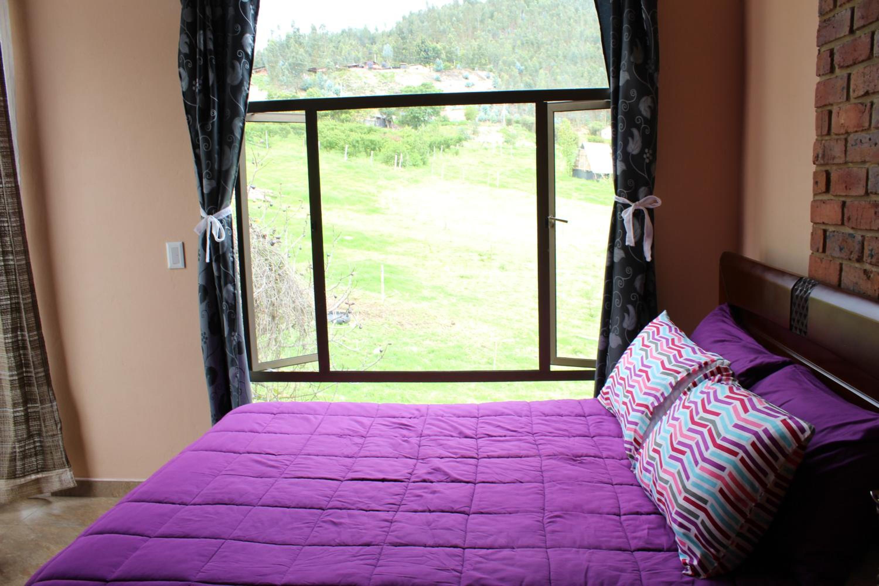 Deluxe Room photo 1