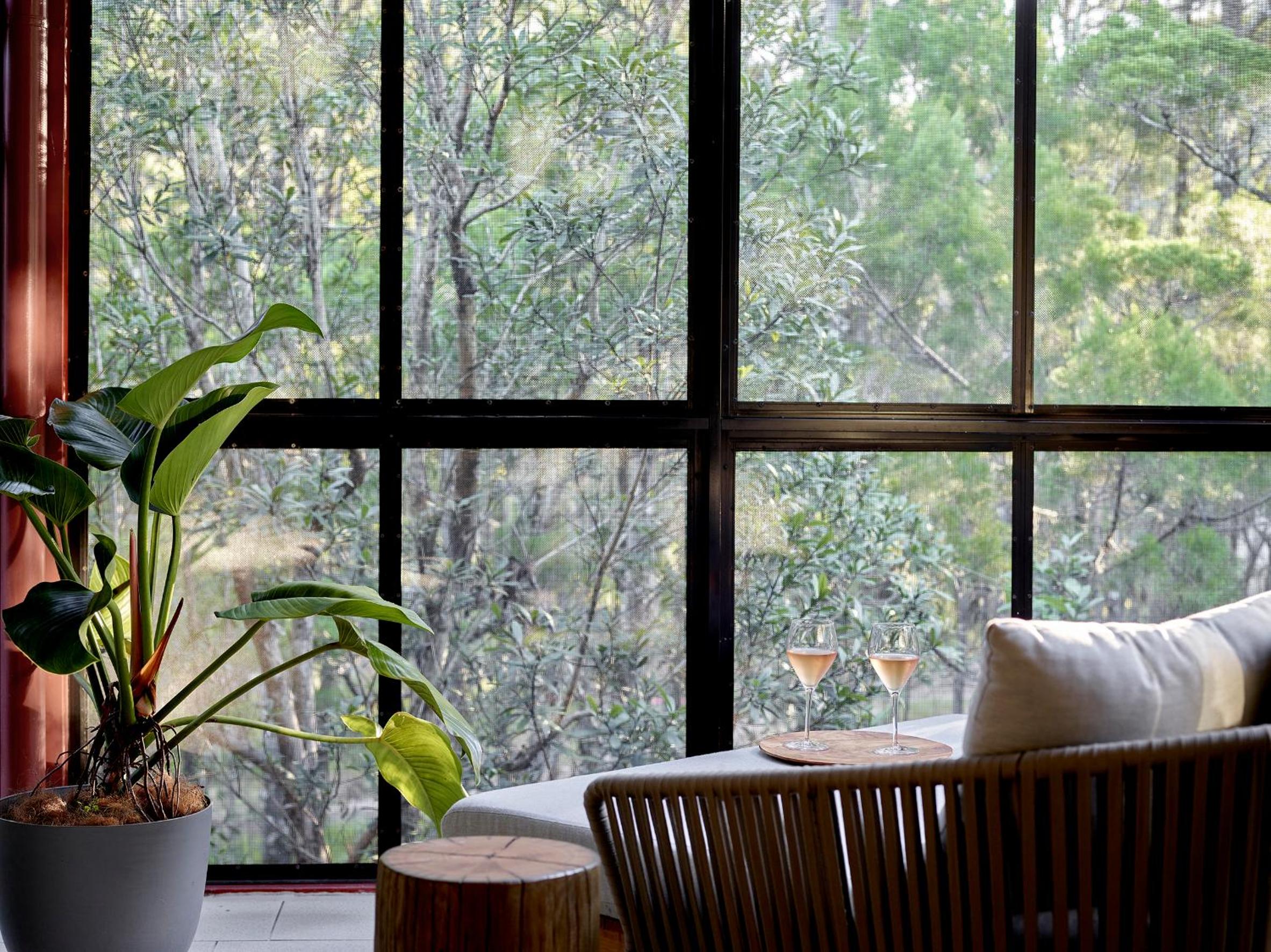 Treetops Luxe Suite