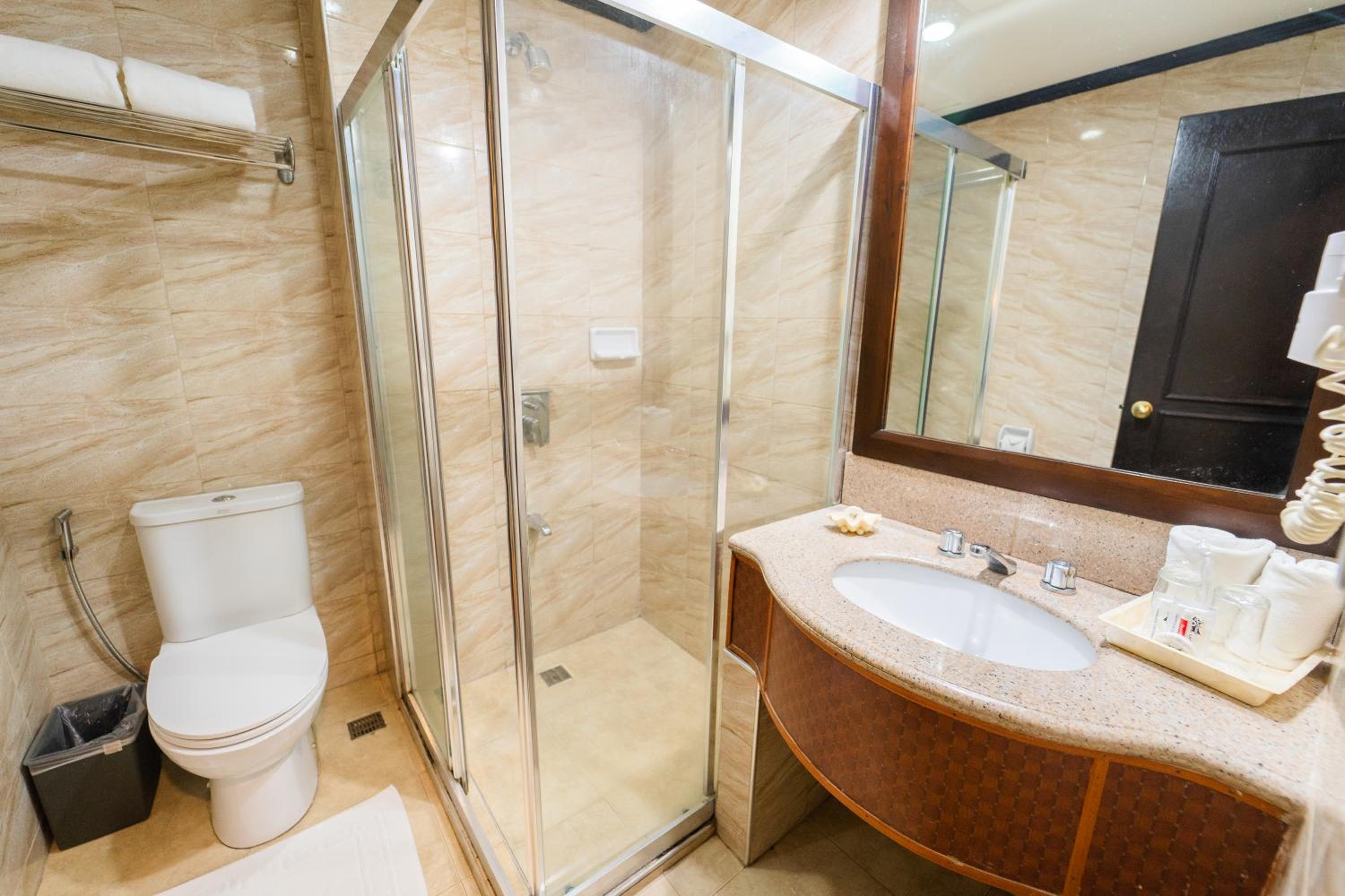 Deluxe Double or Twin Room photo 2