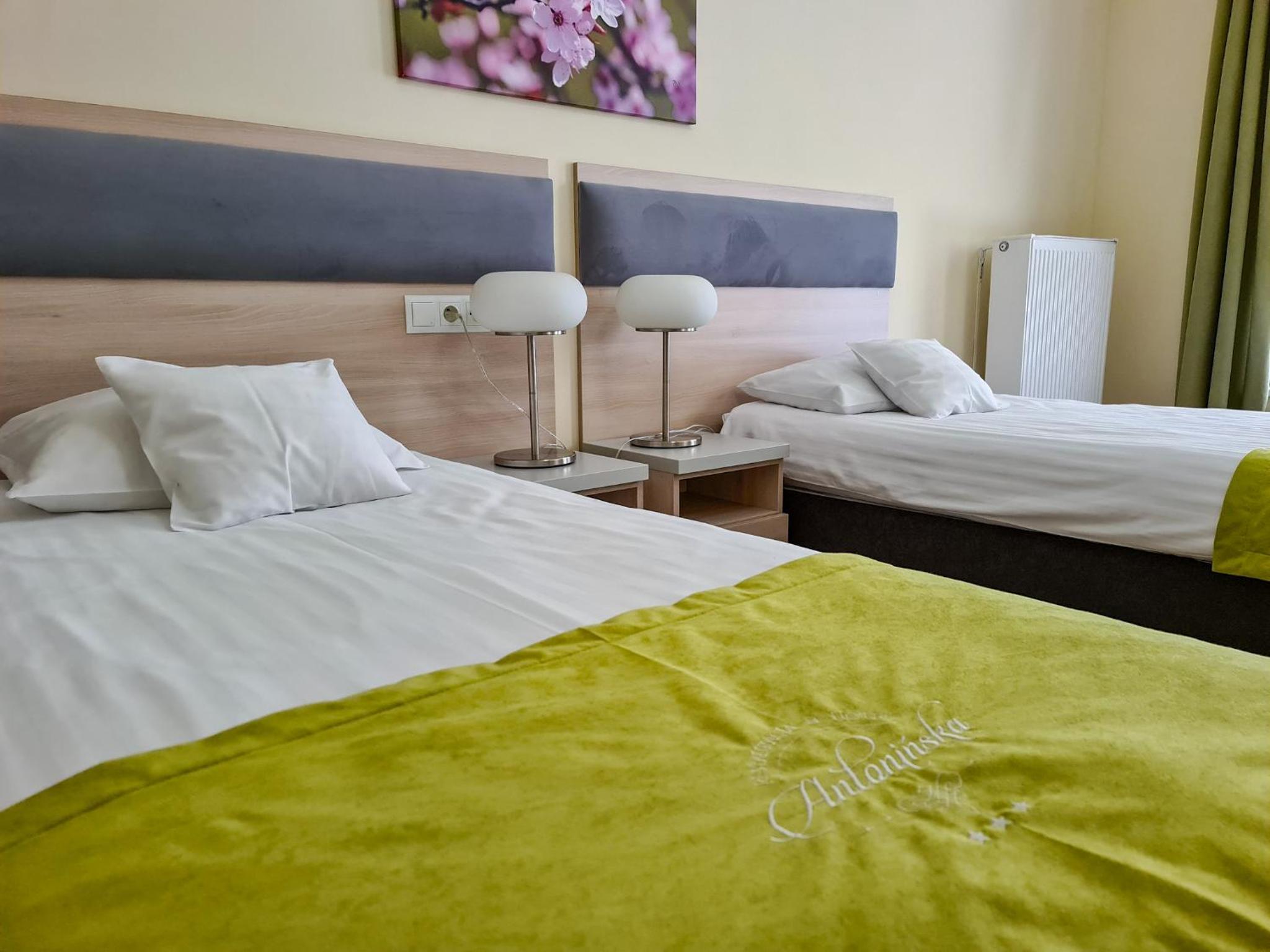 Double Room photo 1